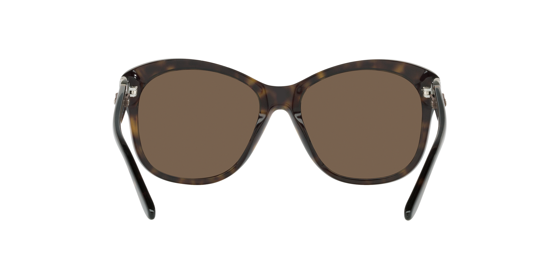 Ralph Lauren RL8190Q 500373 55