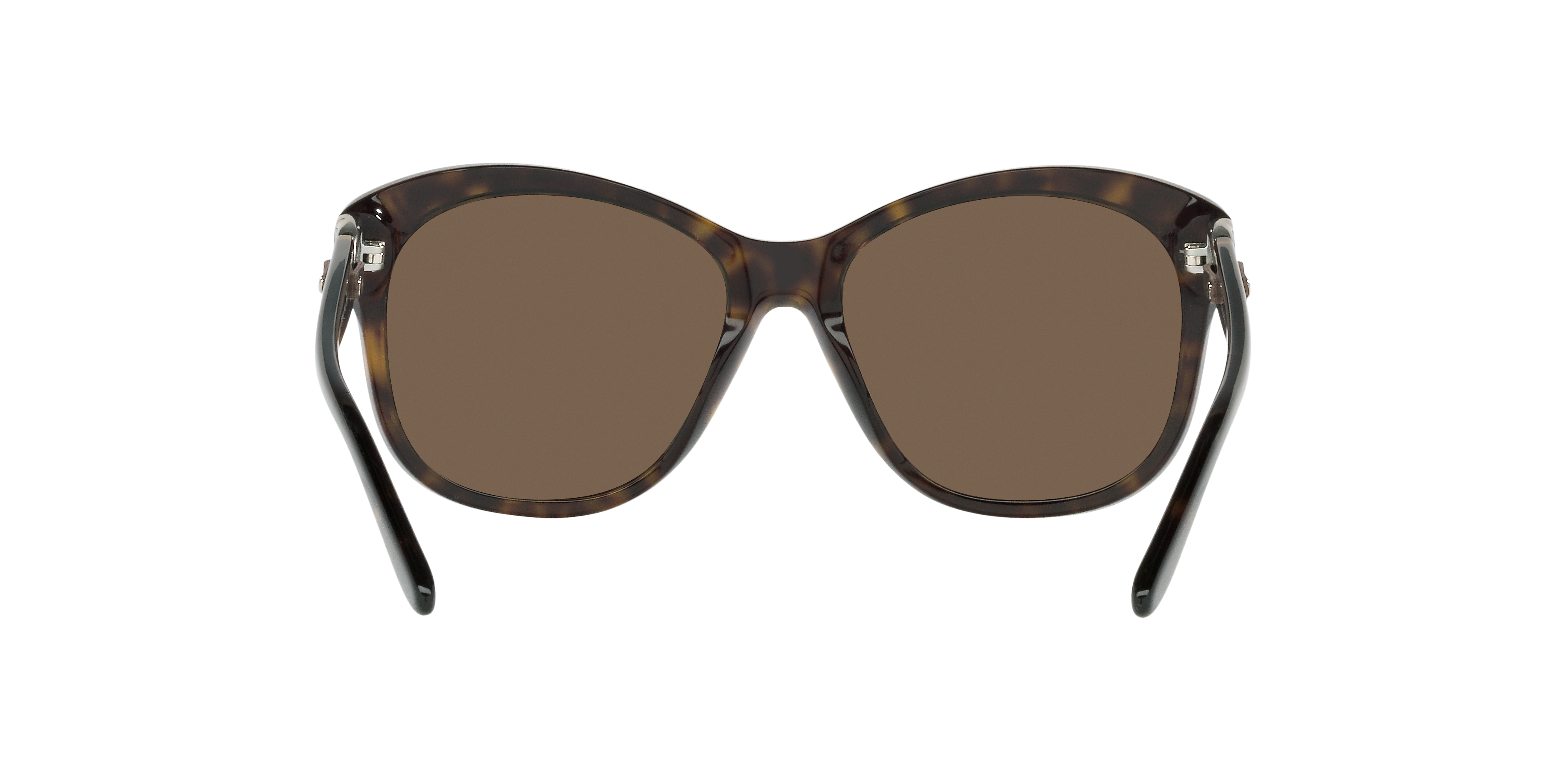 Ralph Lauren RL8190Q 500373 55