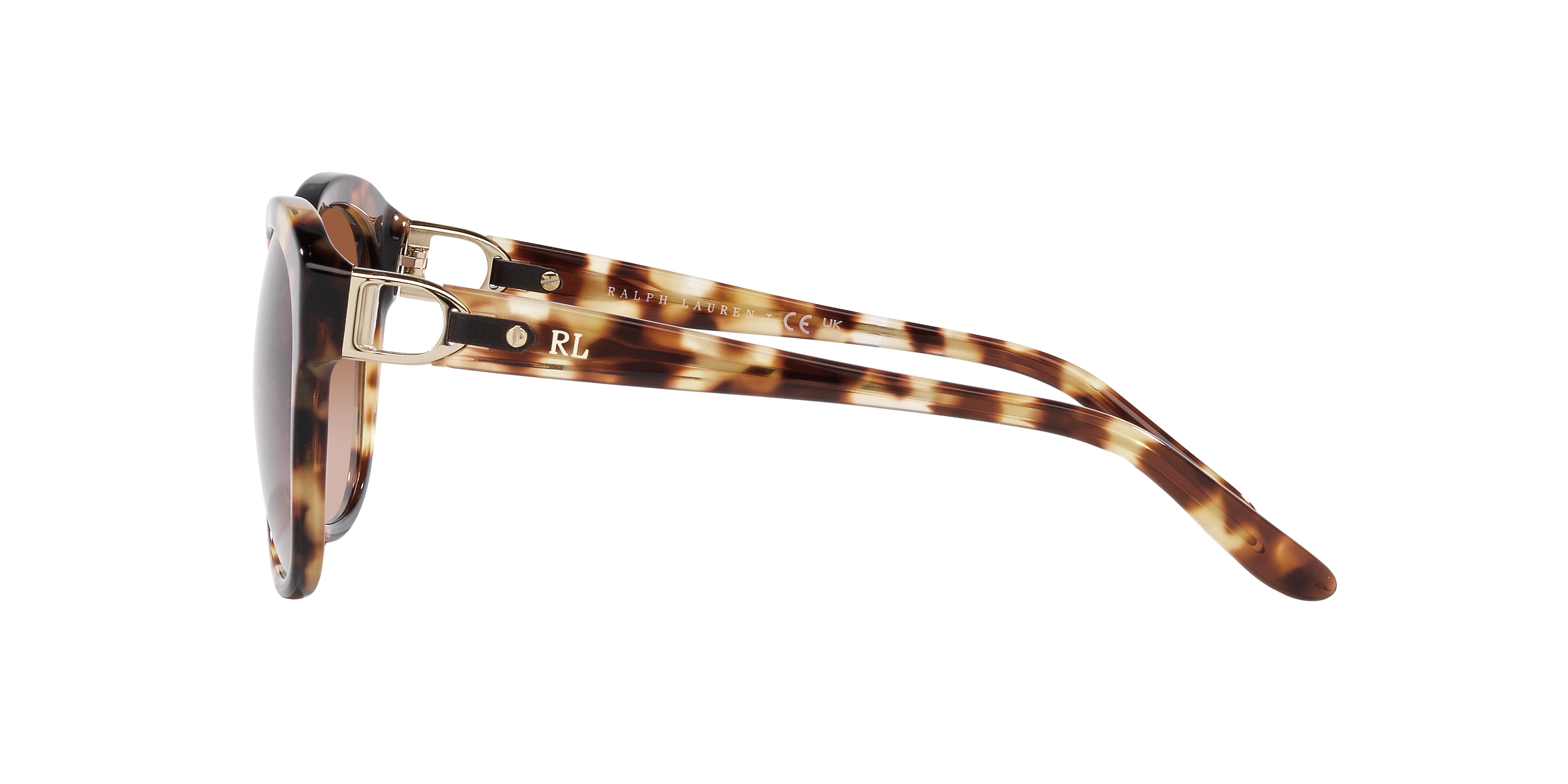 Ralph Lauren RL8190Q 605613 55