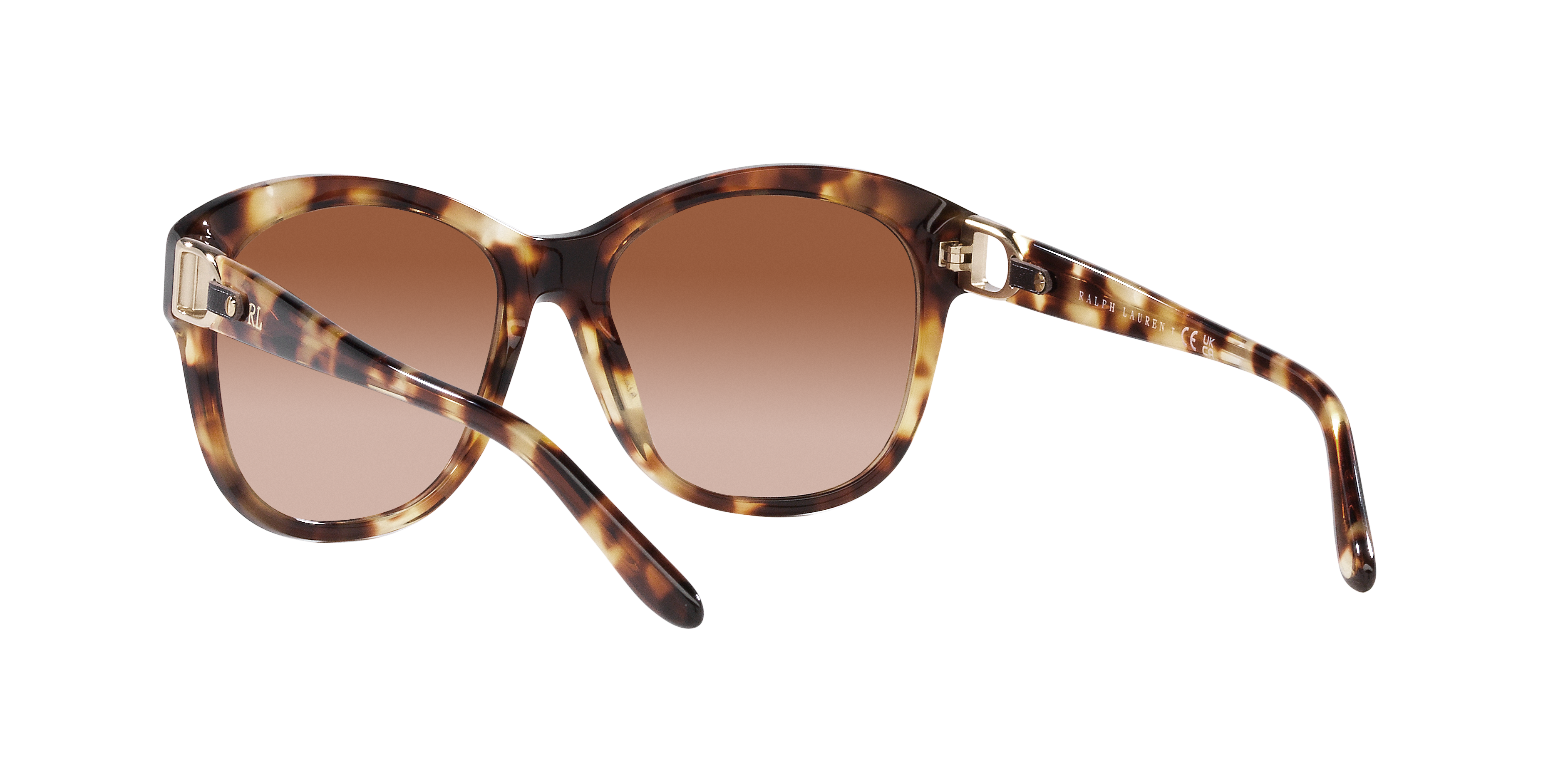 Ralph Lauren RL8190Q 605613 55