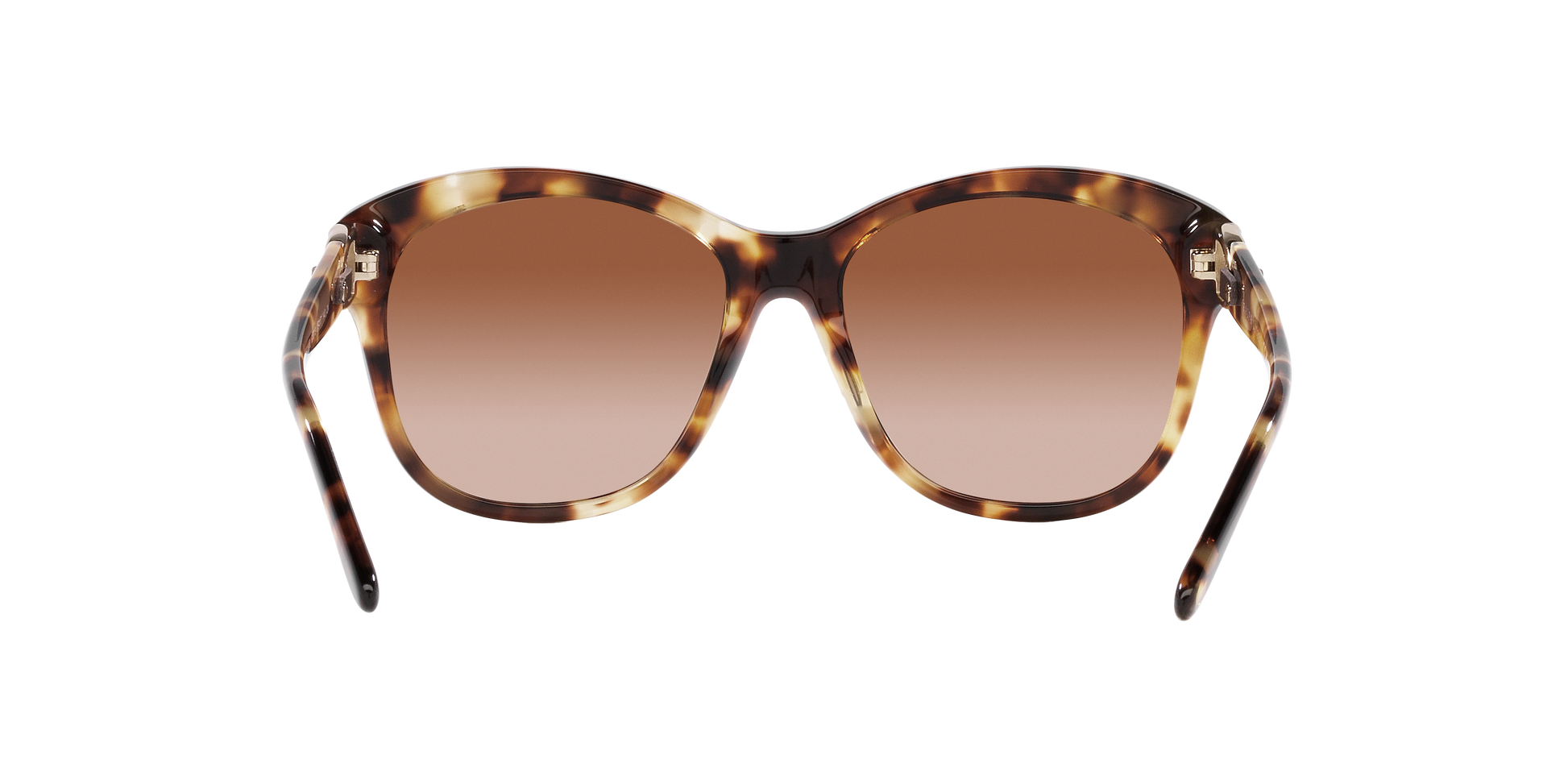 Ralph Lauren RL8190Q 605613 55