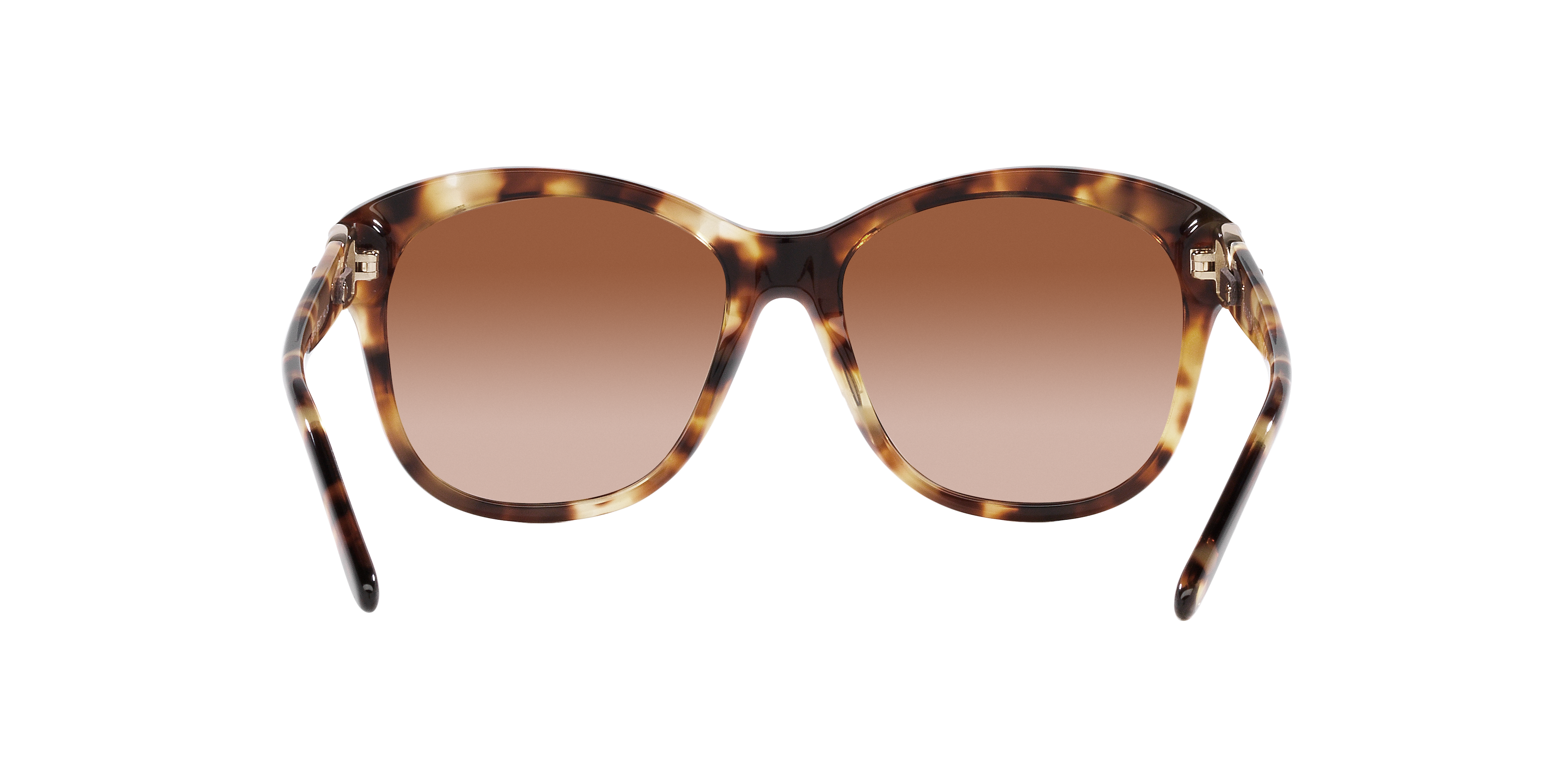 Ralph Lauren RL8190Q 605613 55