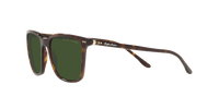 Ralph Lauren RL8199 500371
