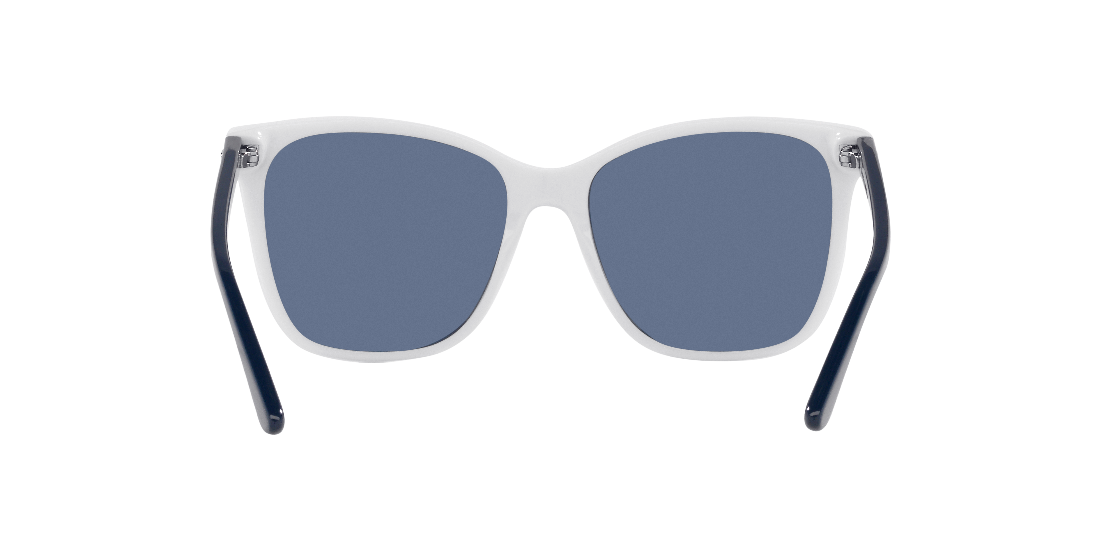 Ralph Lauren RL8201 554480 56