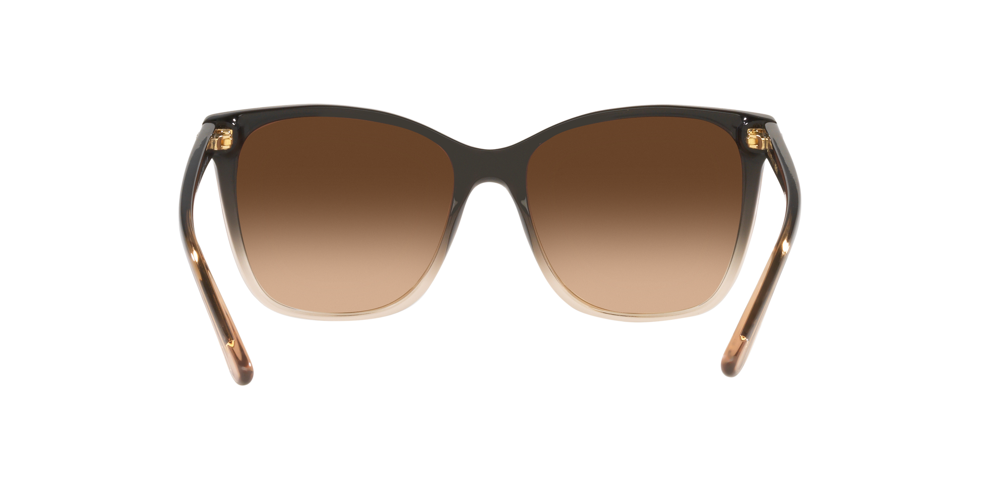 Ralph Lauren RL8201 602274 56