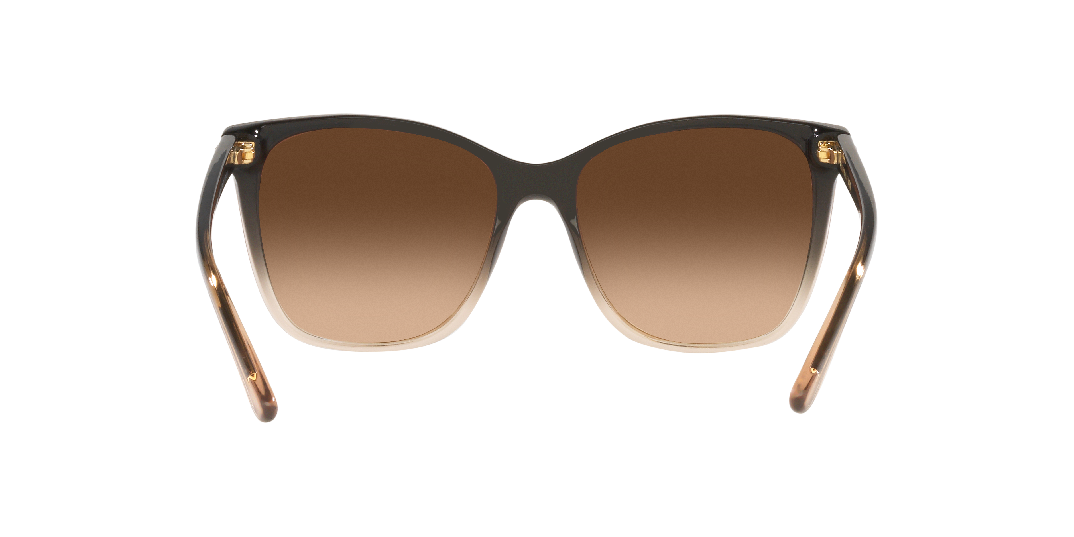 Ralph Lauren RL8201 602274 56