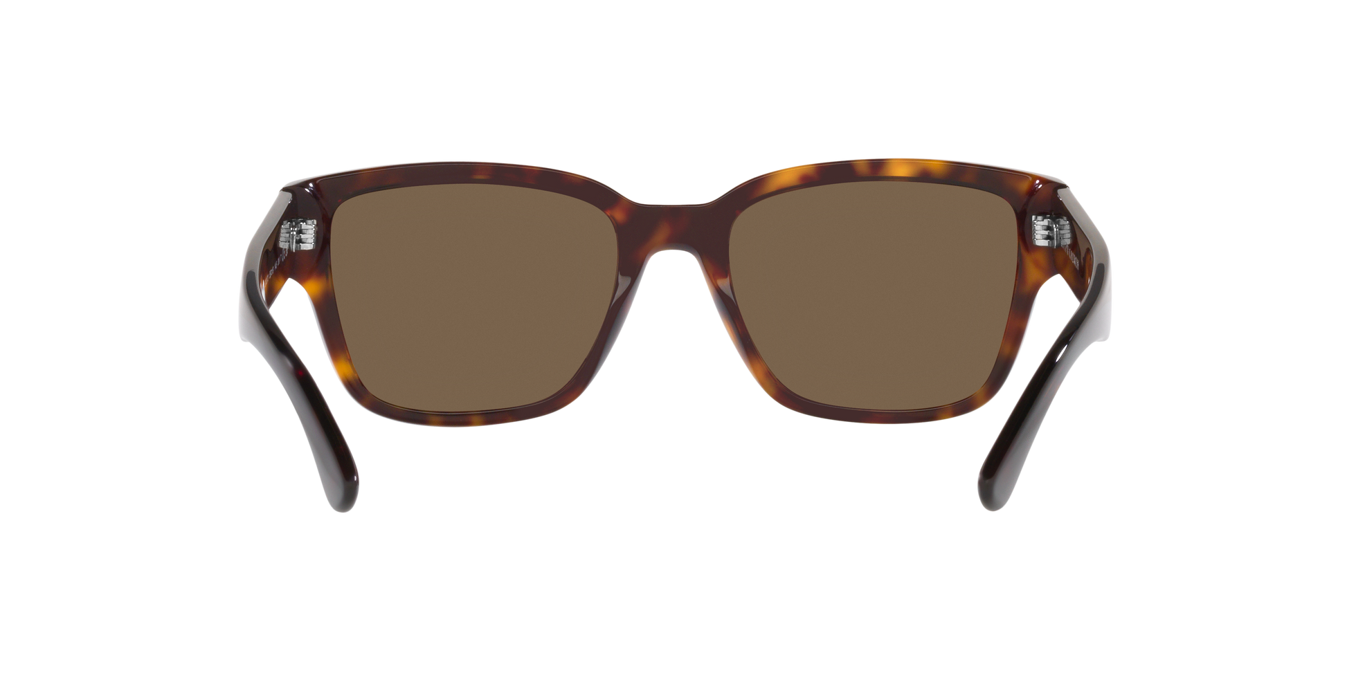 Ralph Lauren RL8205 500373 55