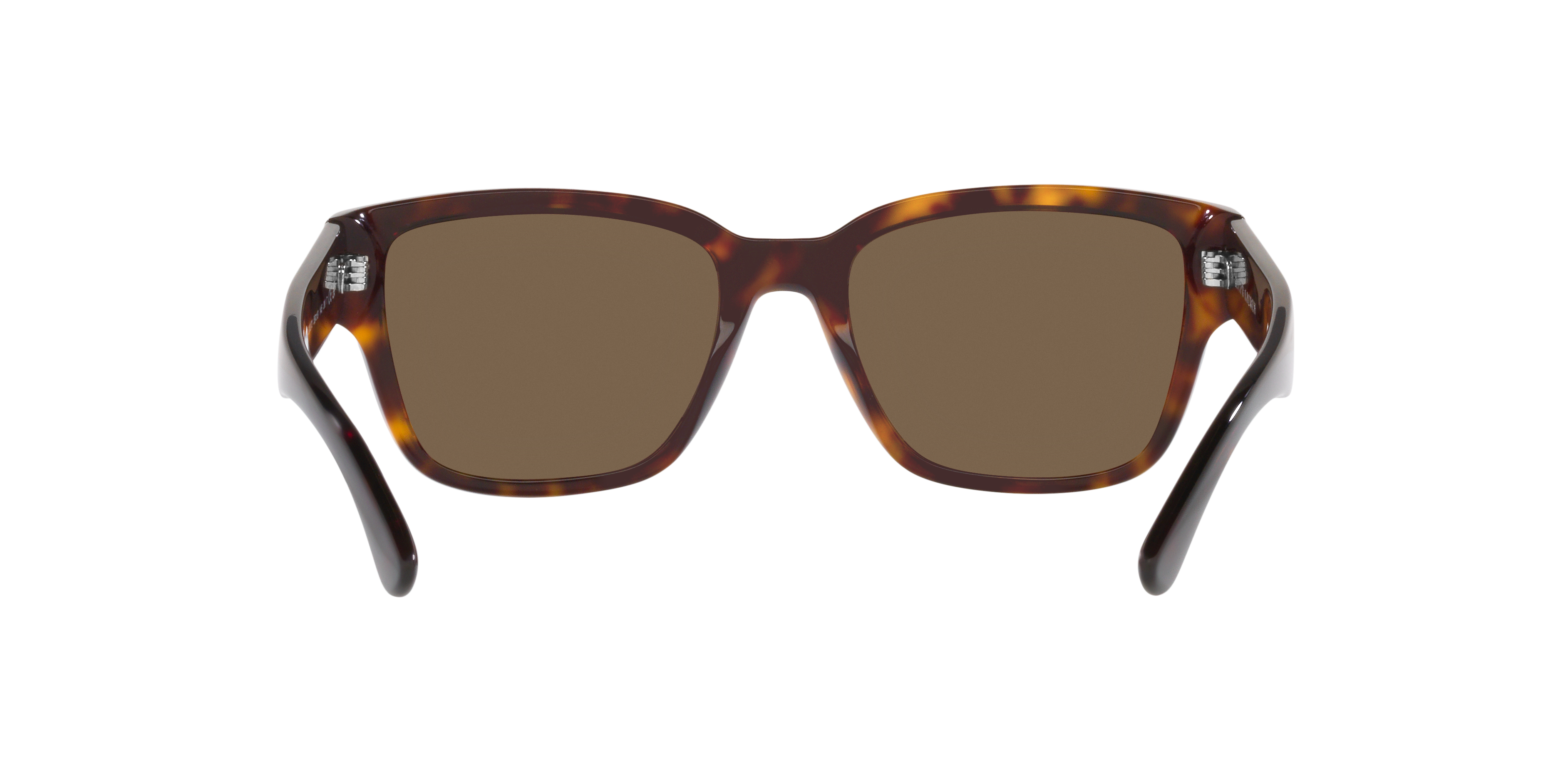 Ralph Lauren RL8205 500373 55