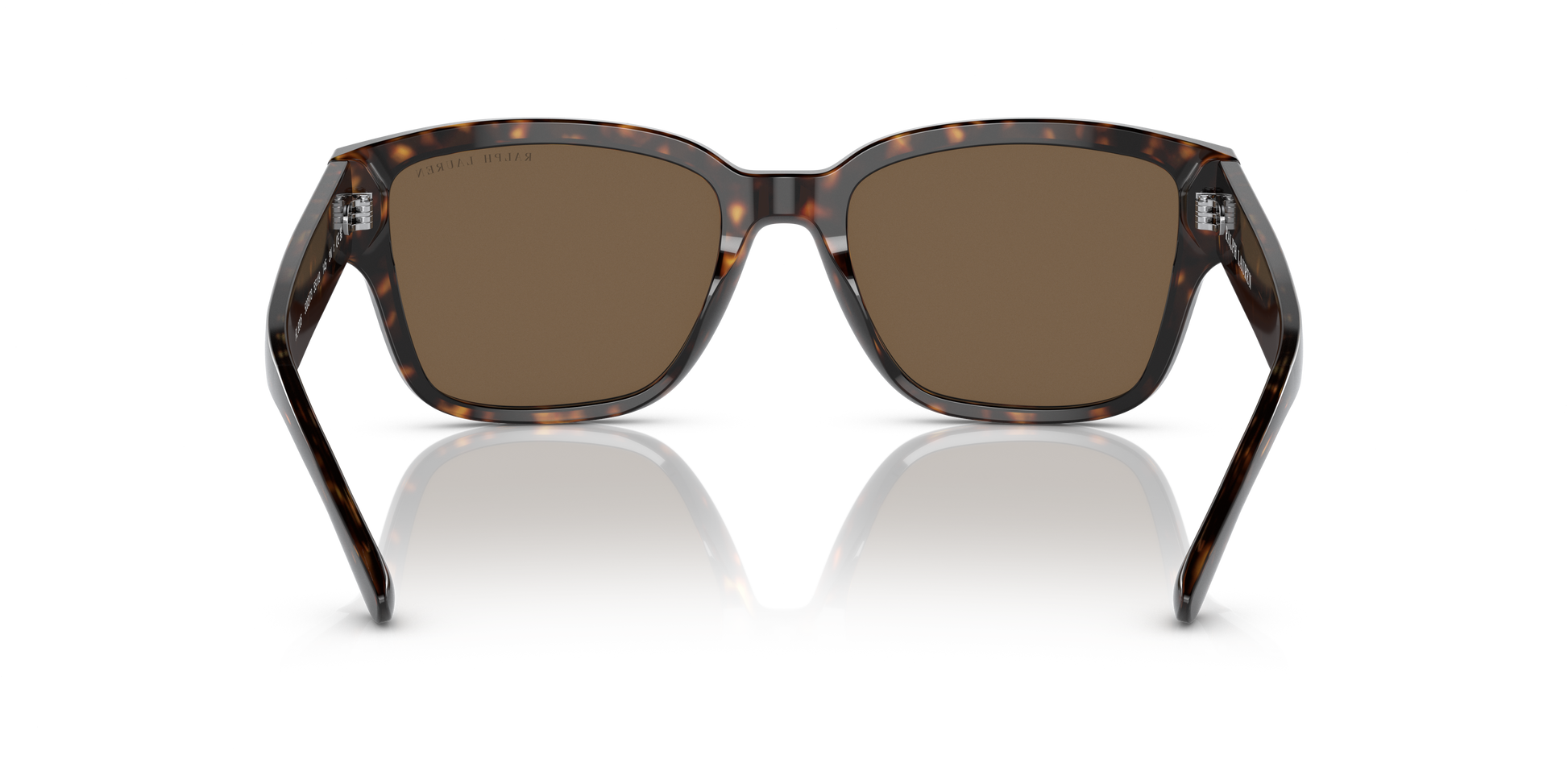 Ralph Lauren RL8205 500373 55