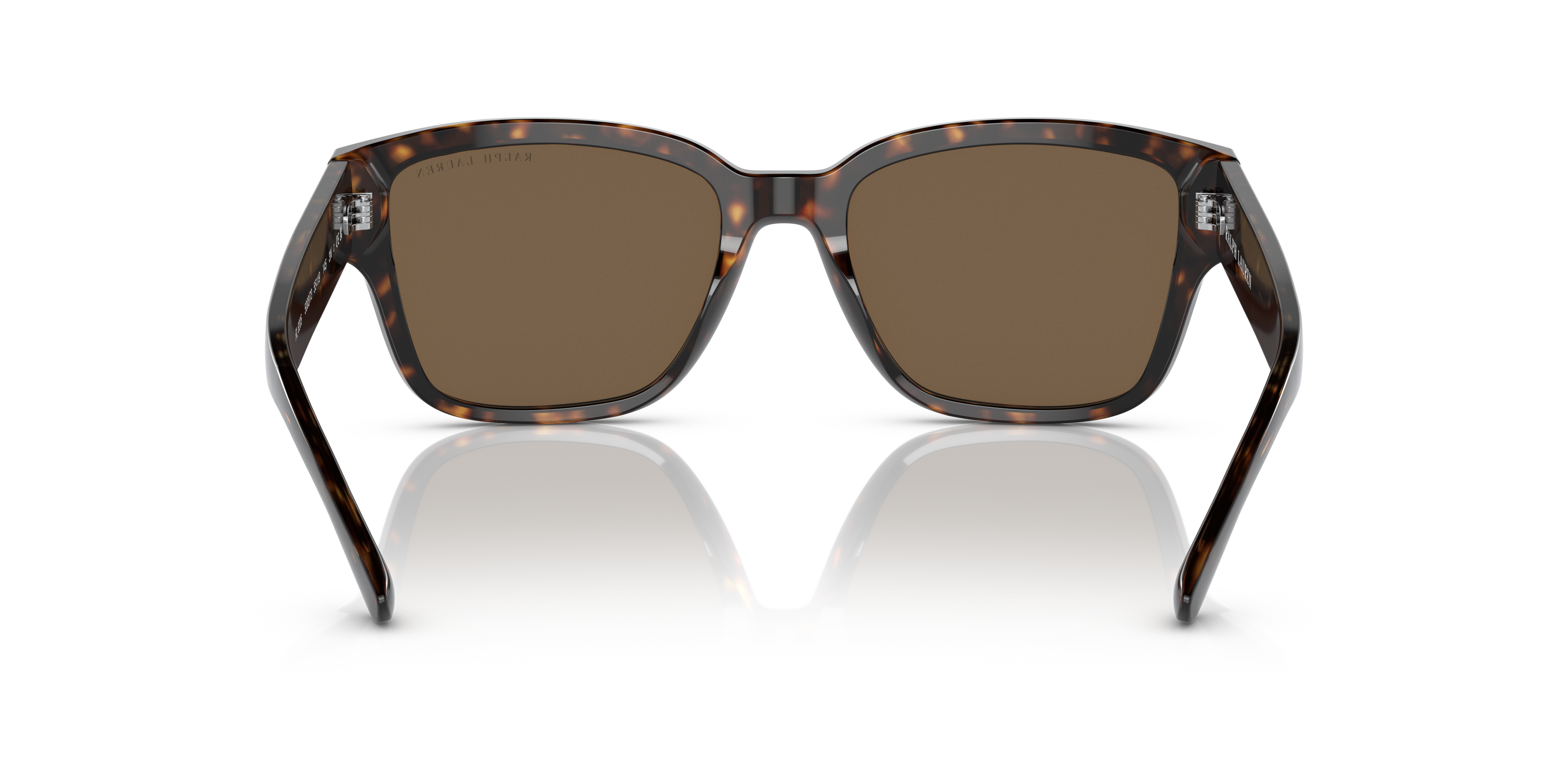 Ralph Lauren RL8205 500373 55