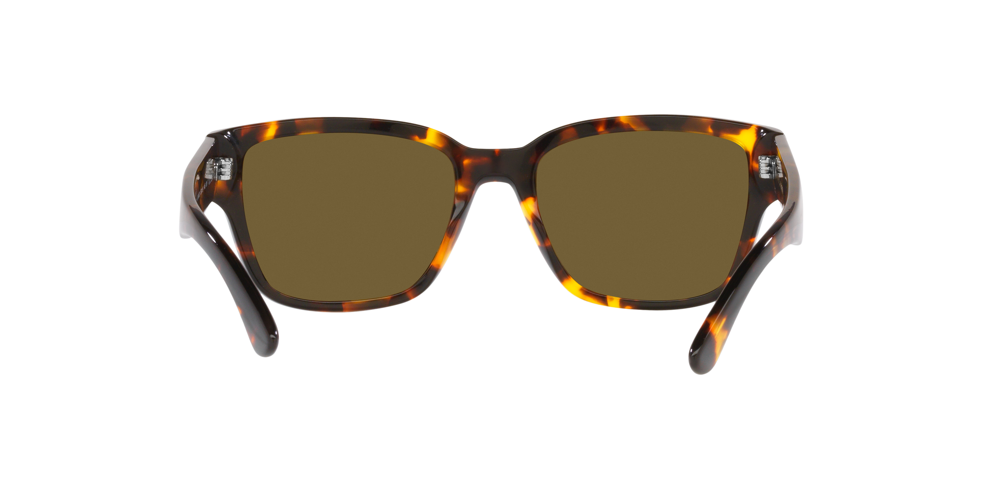 Ralph Lauren RL8205 513480 55