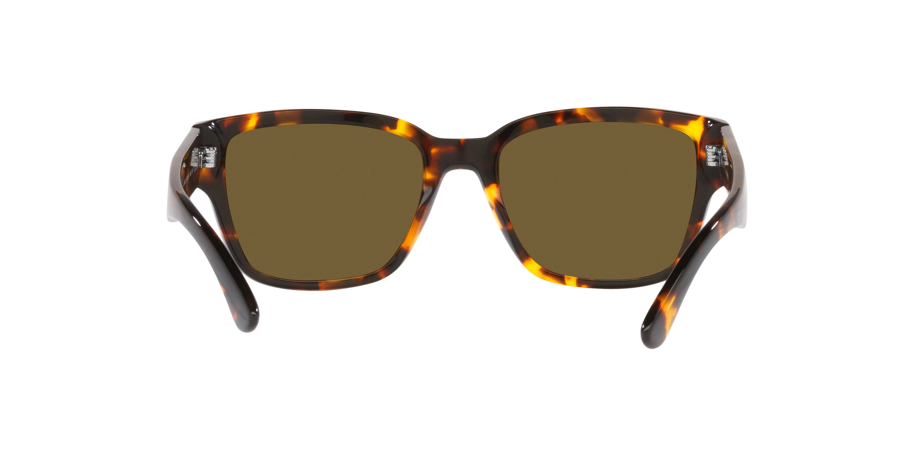 Ralph Lauren RL8205 513480 55