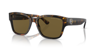 Ralph Lauren The Rl 50 RL8205 513480