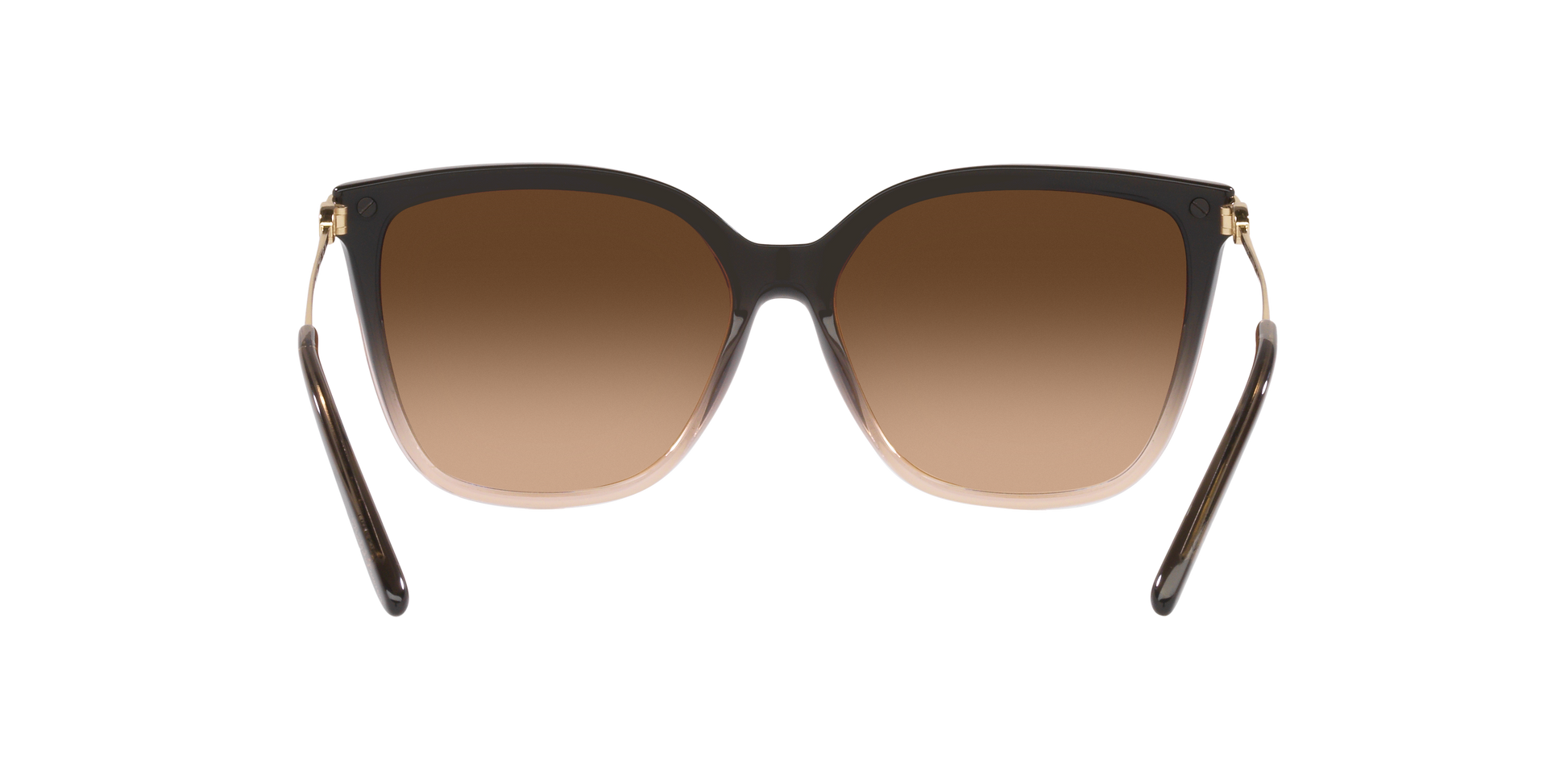 Ralph Lauren RL8209 602274 57