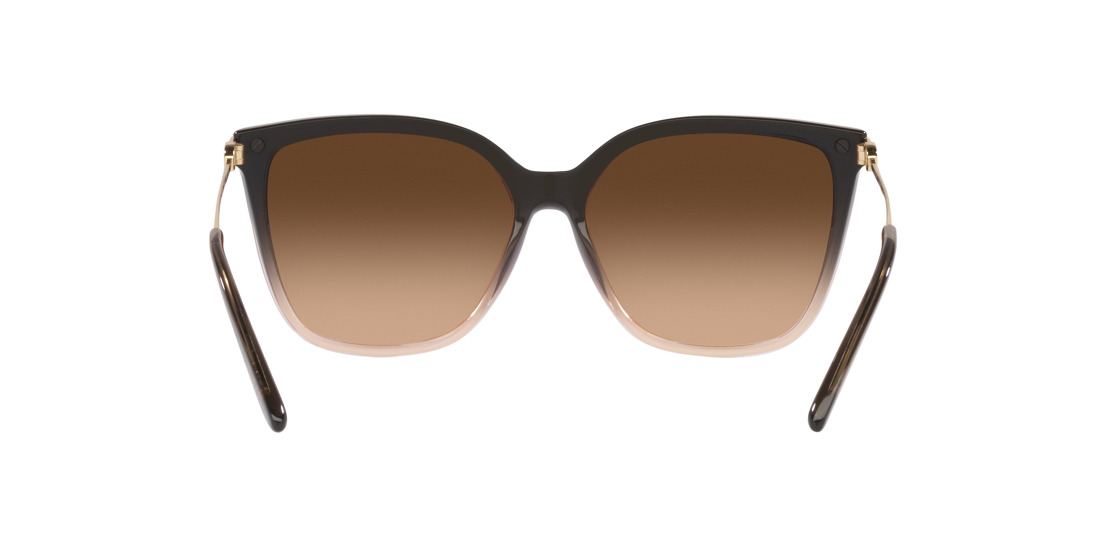 Ralph Lauren RL8209 602274 57