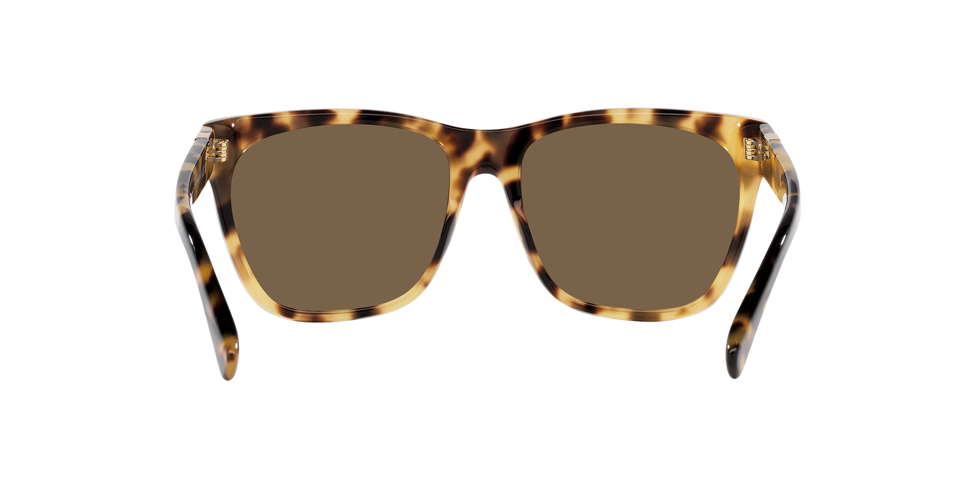 Ralph Lauren RL8212 500473 57