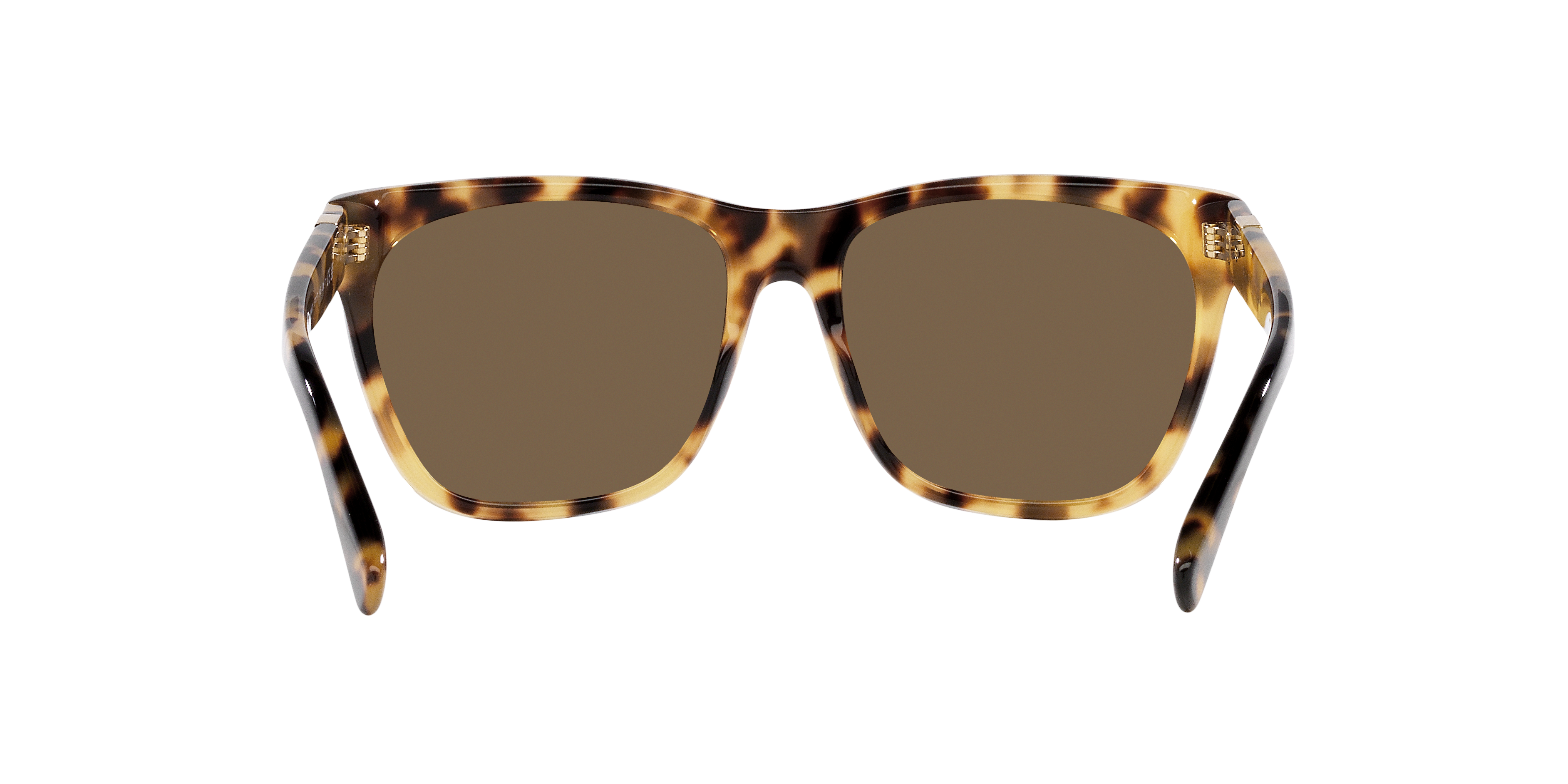 Ralph Lauren RL8212 500473 57