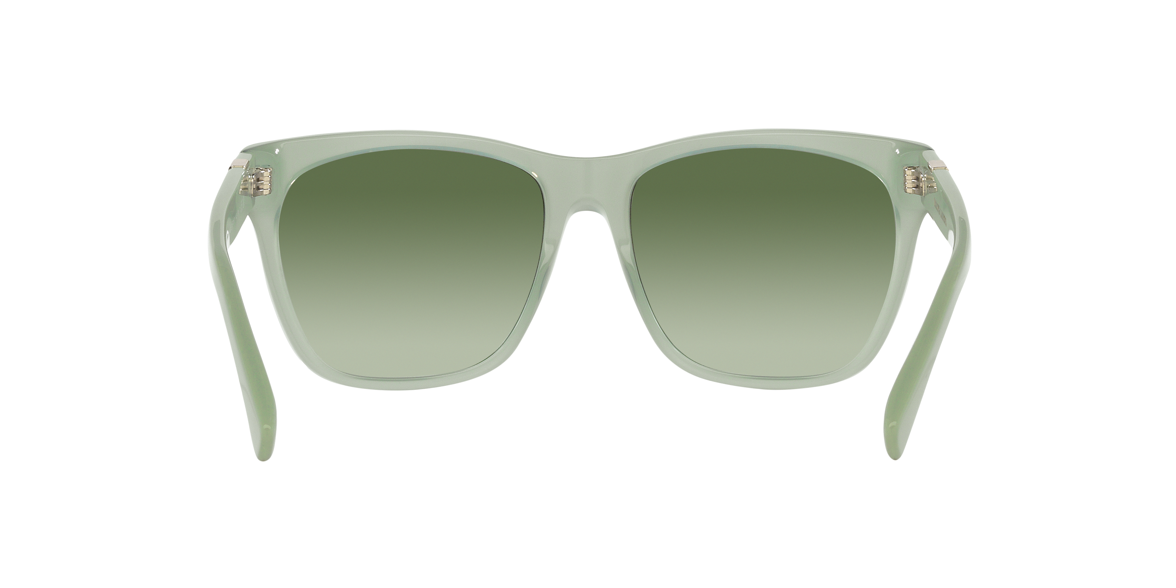 Ralph Lauren RL8212 60498E 57