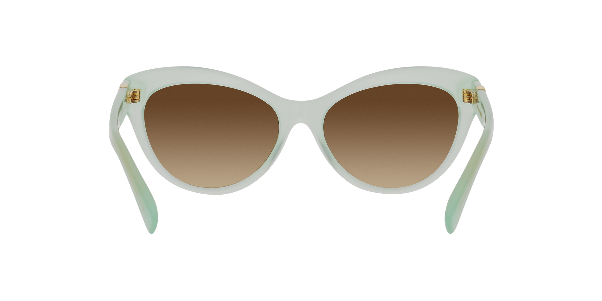 Ralph Lauren RL8213 608274 56