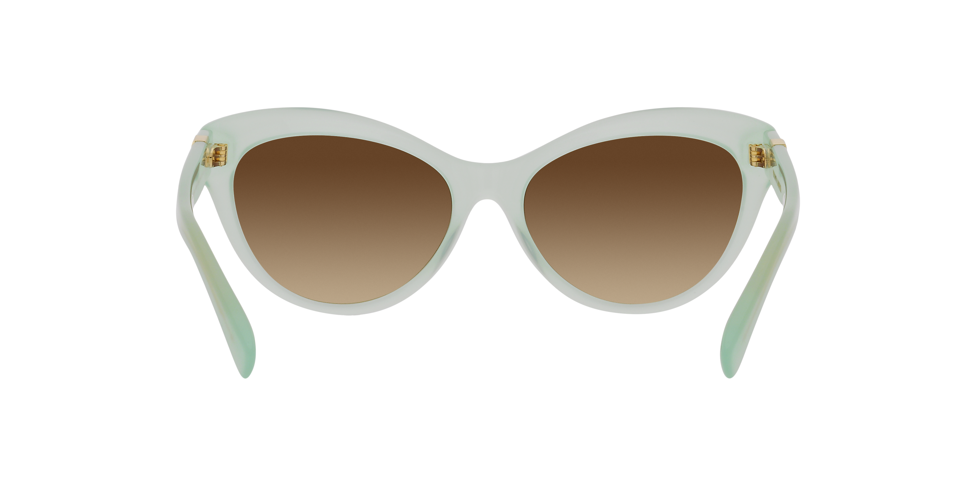 Ralph Lauren RL8213 608274 56