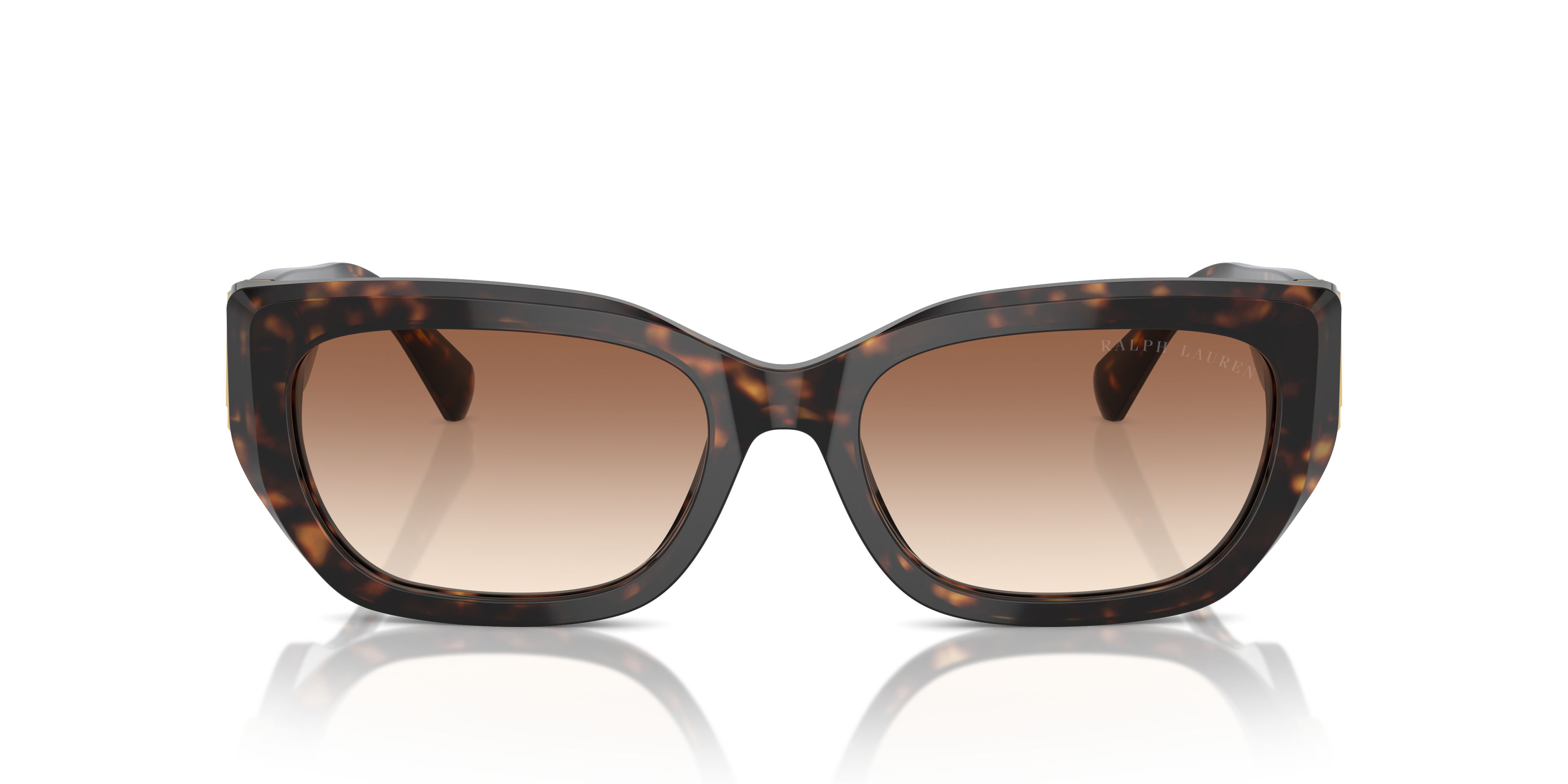 Ralph Lauren RL8222 500313 55