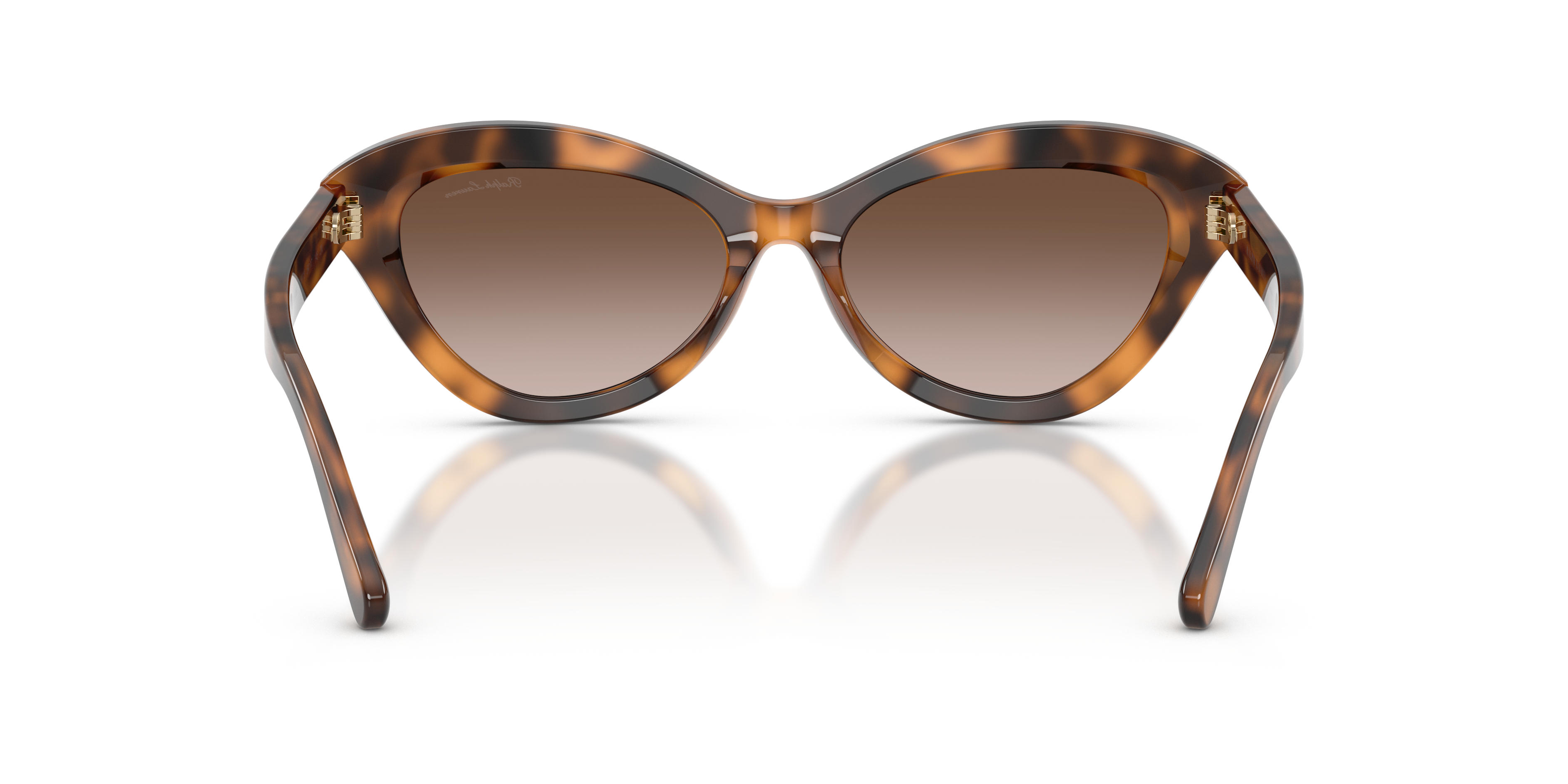 Ralph Lauren RL8236U 608913