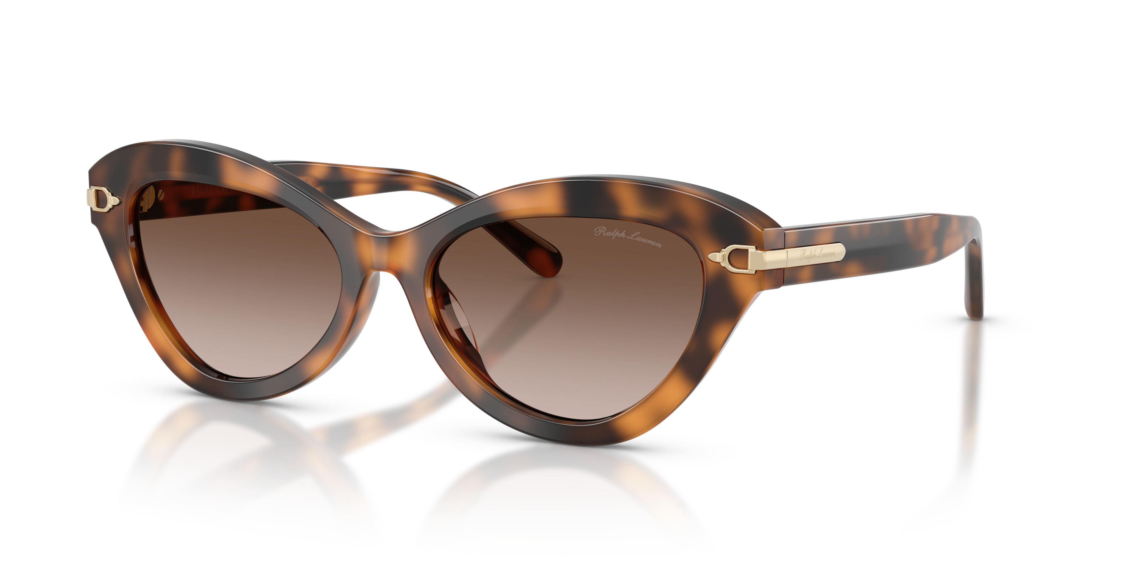 Ralph Lauren RL8236U 608913