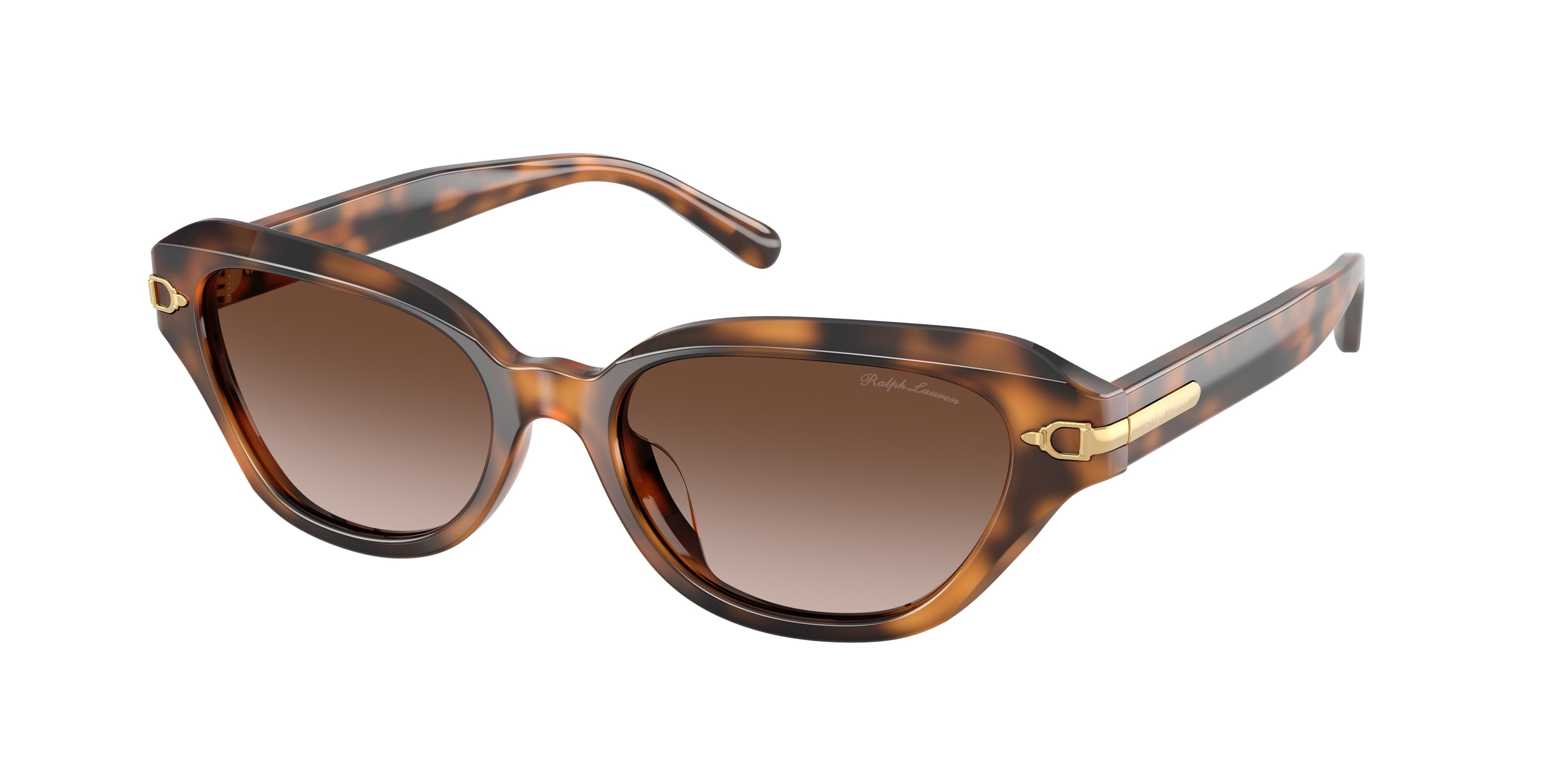 Ralph Lauren RL8244U 608913