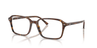 Ray-Ban Raimond RX5431 8395