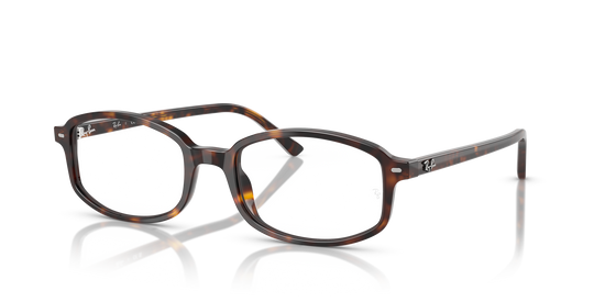 Ray-BanRX5432 2012 54