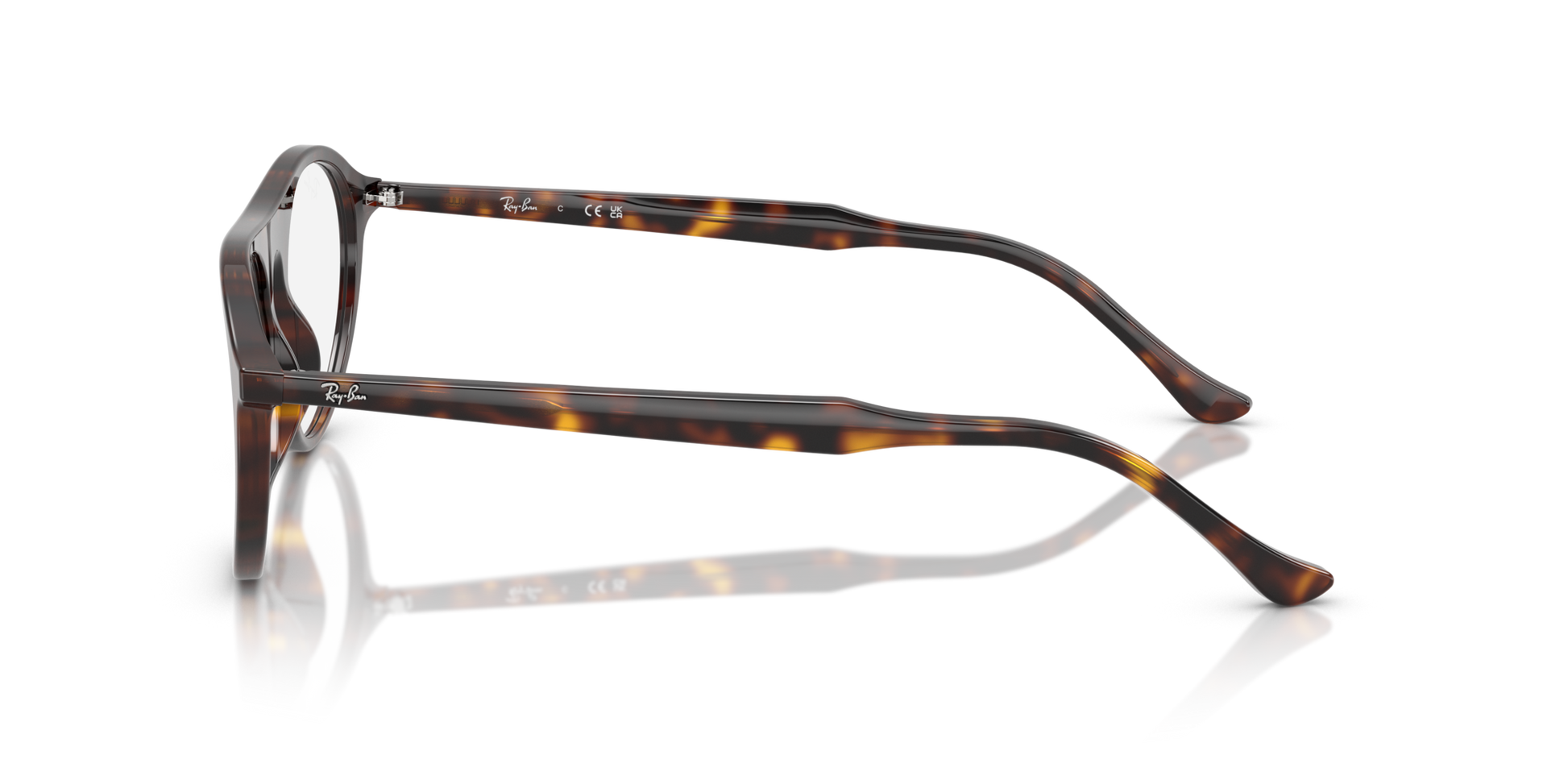 Ray-Ban RX5441 2012 53