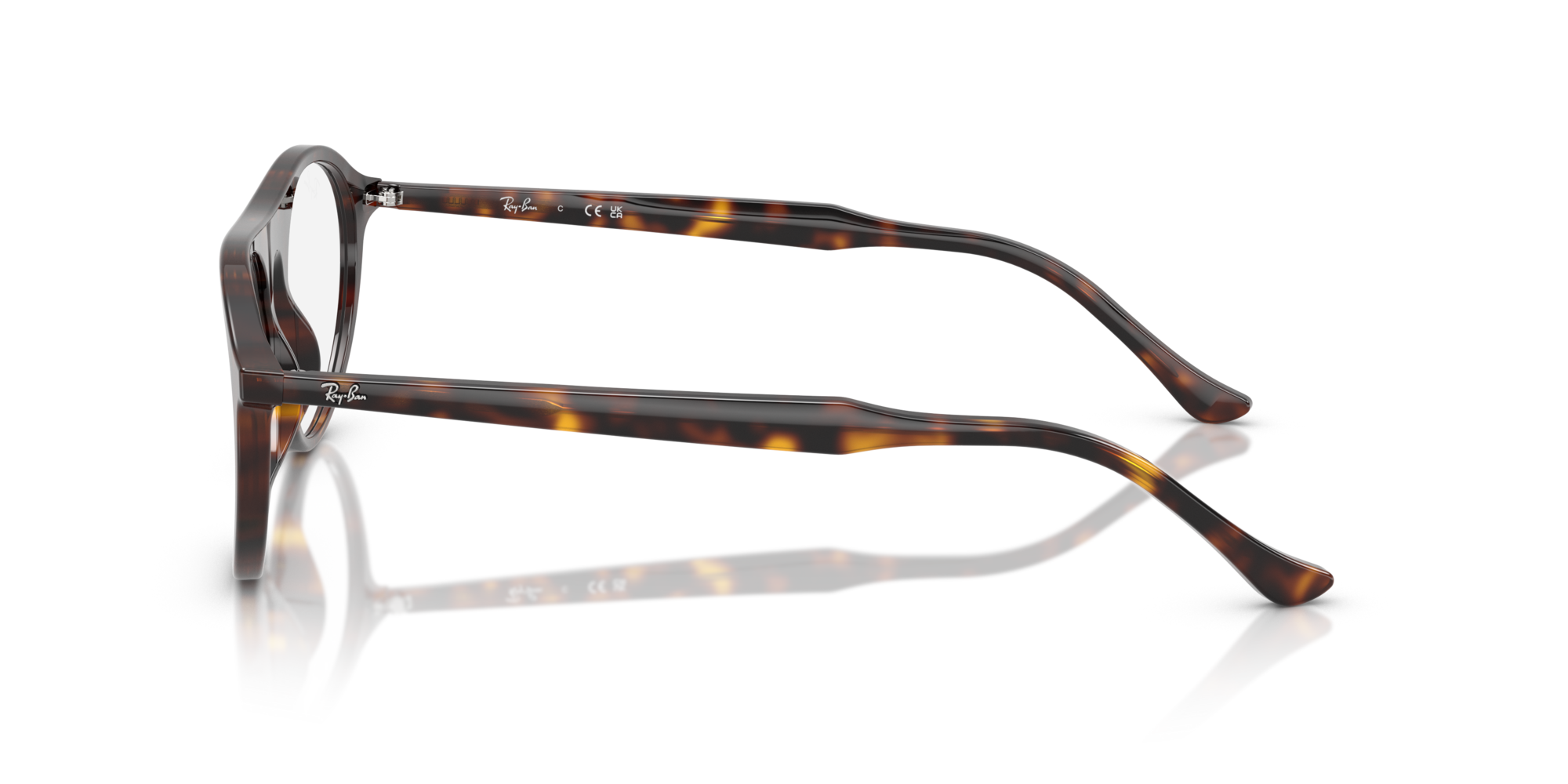 Ray-Ban RX5441 2012 53