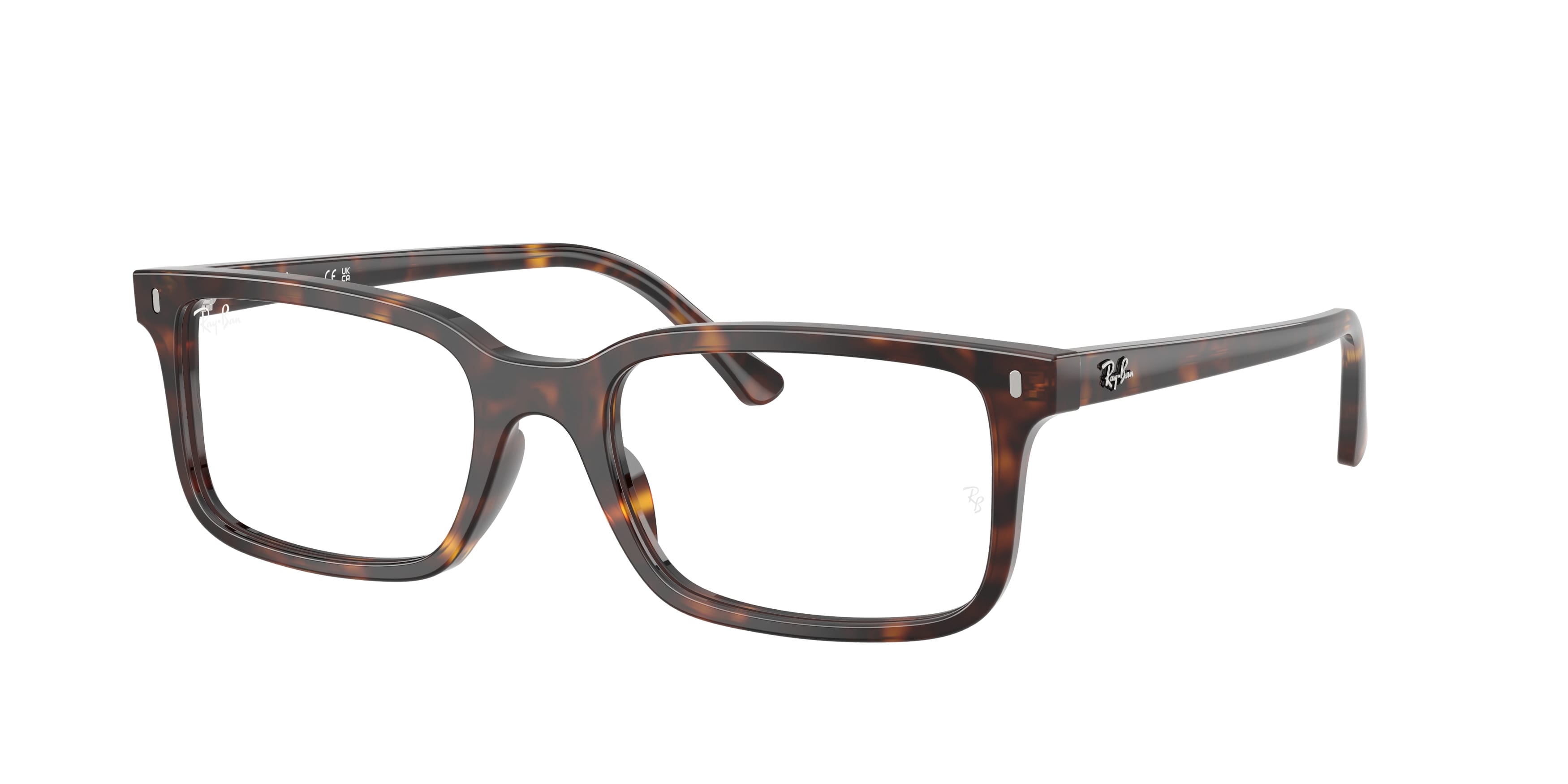 Ray-Ban Vista RX5445 2012