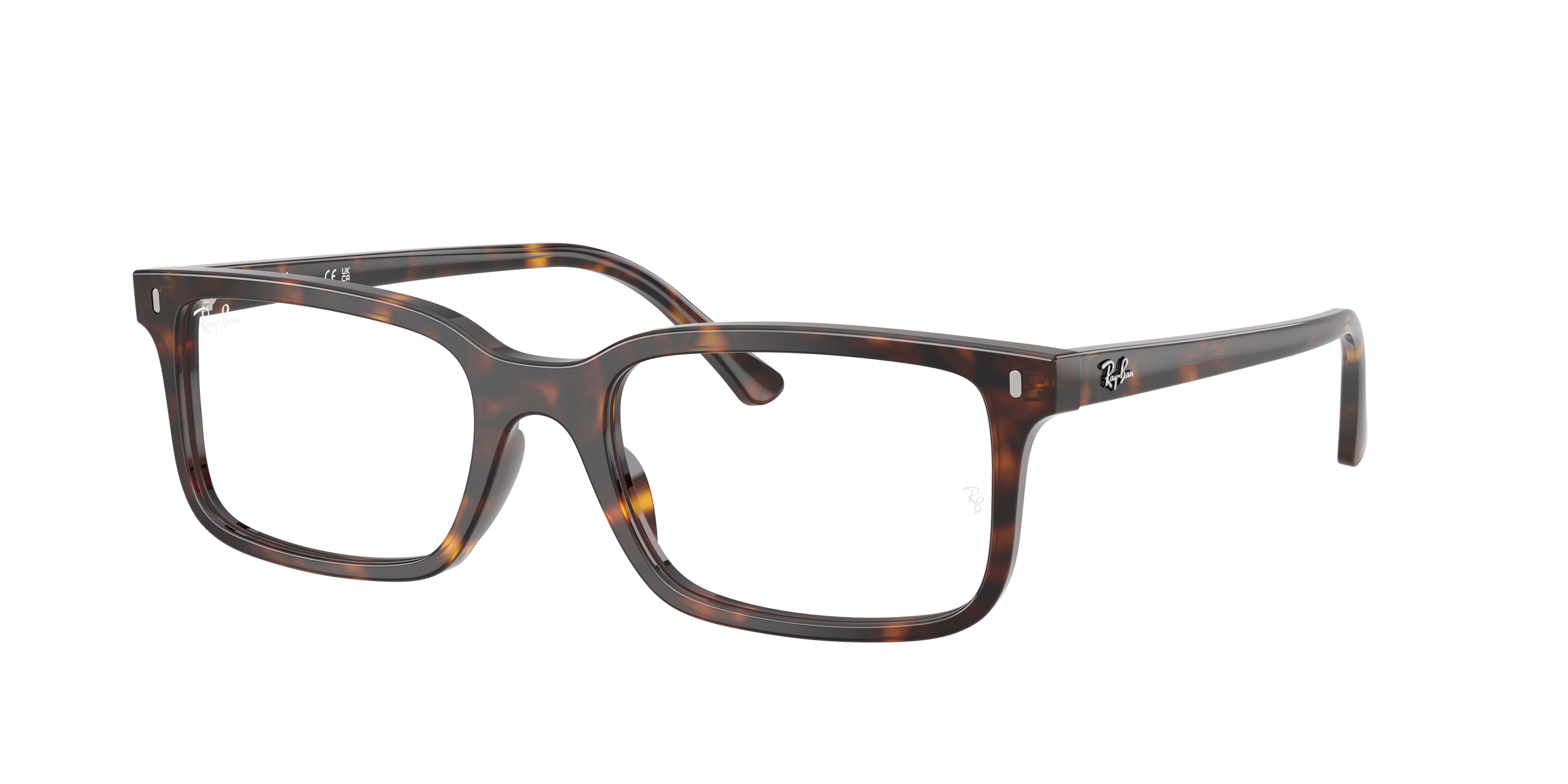Ray-Ban Vista RX5445 2012