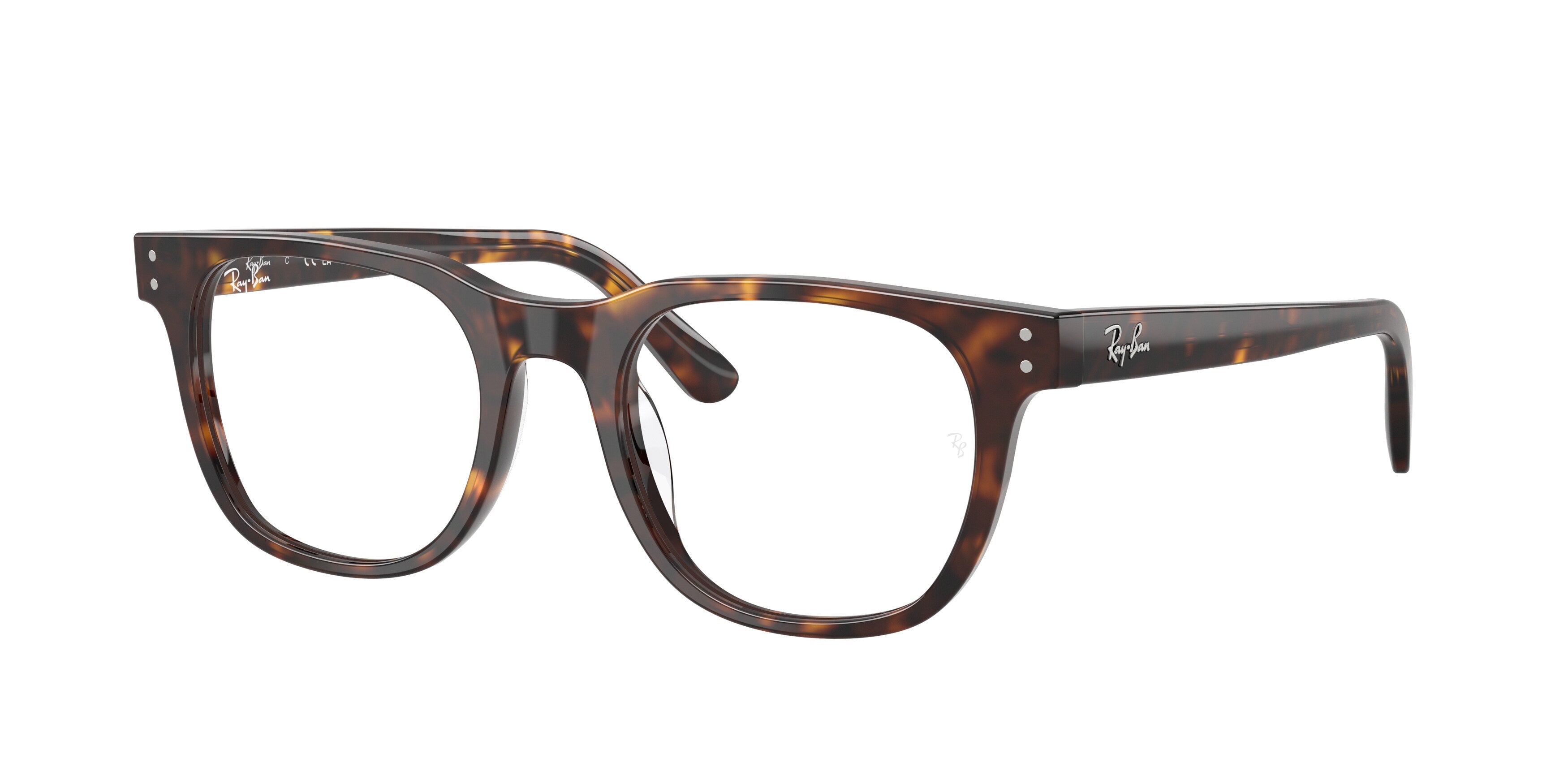 Ray-Ban RX5461D 2012