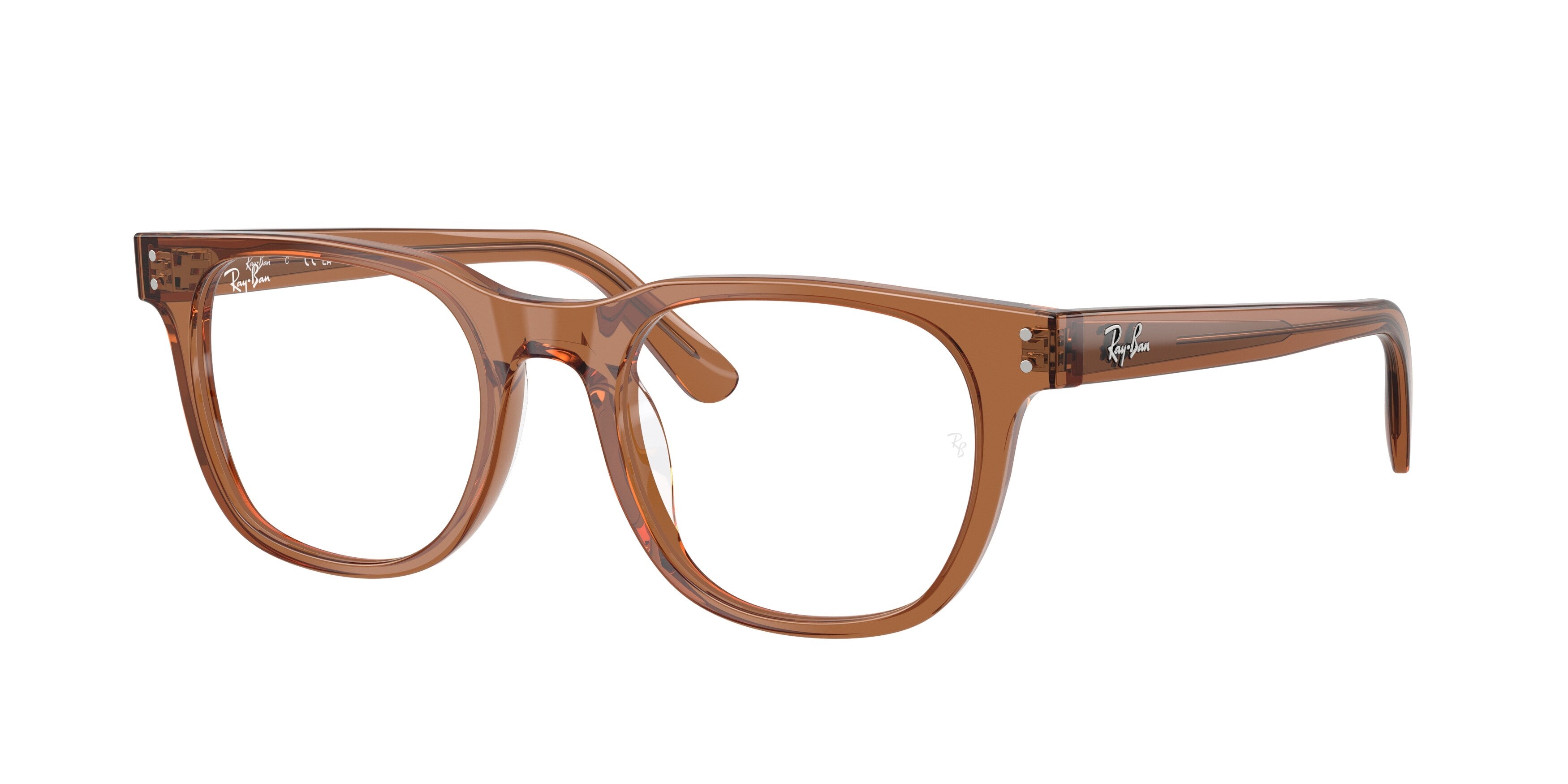 Ray-Ban RX5461D 8201