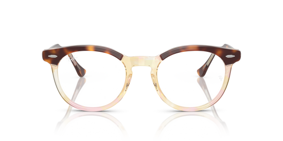 Ray-BanRX5598 8402 49