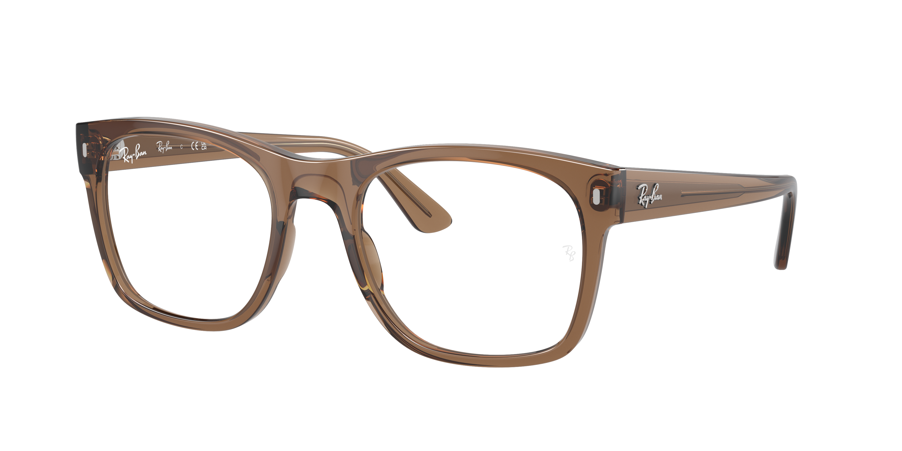 Ray-Ban RX7228 8198