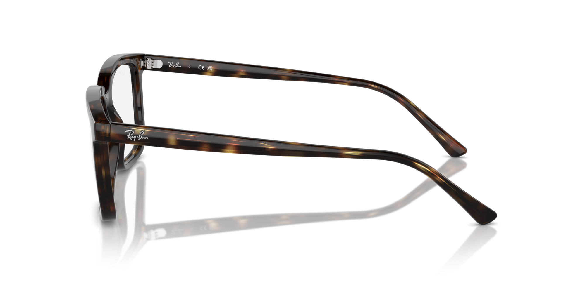 Ray-Ban Alain RX7239 2012