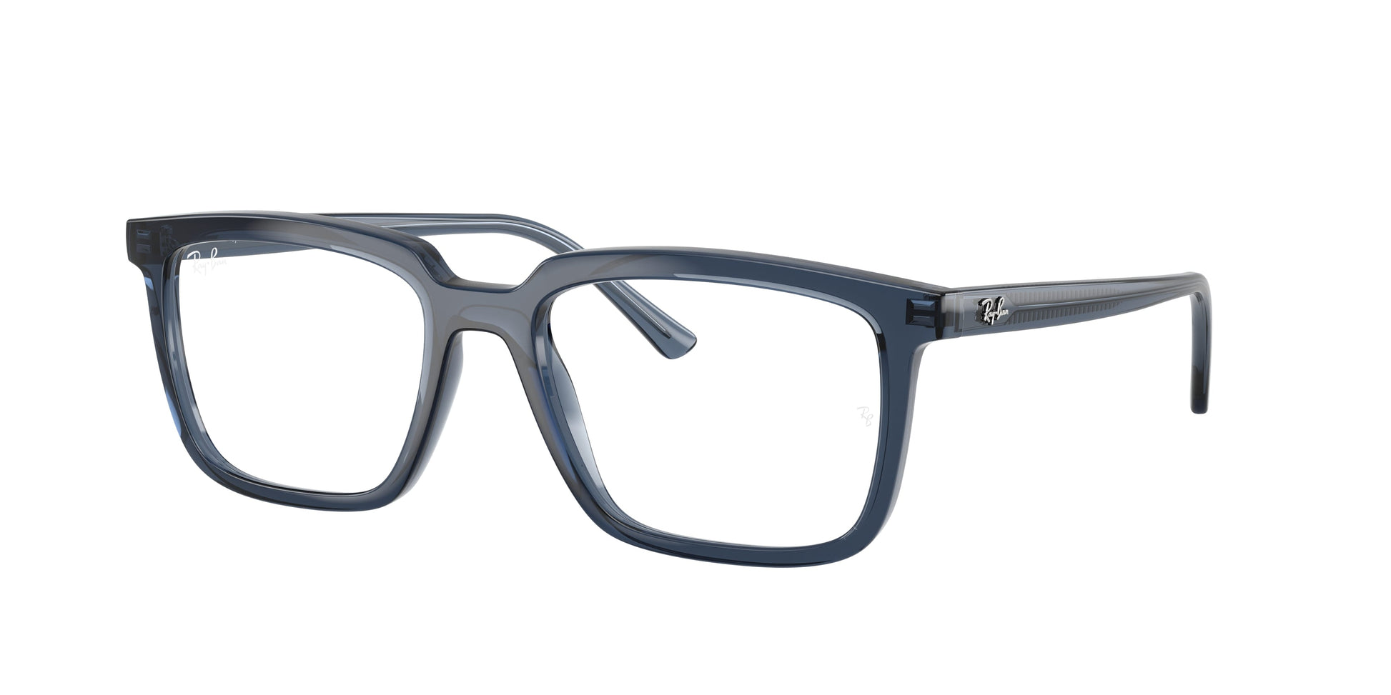 Ray-Ban Vista Alain RX7239 8223
