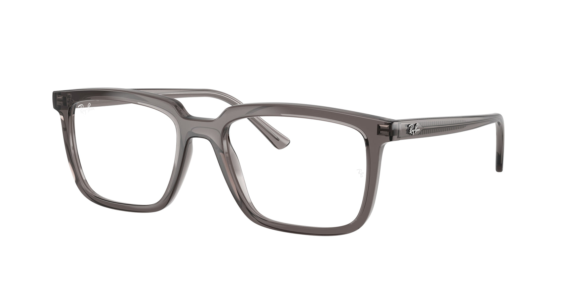 Ray-Ban Vista Alain RX7239 8506