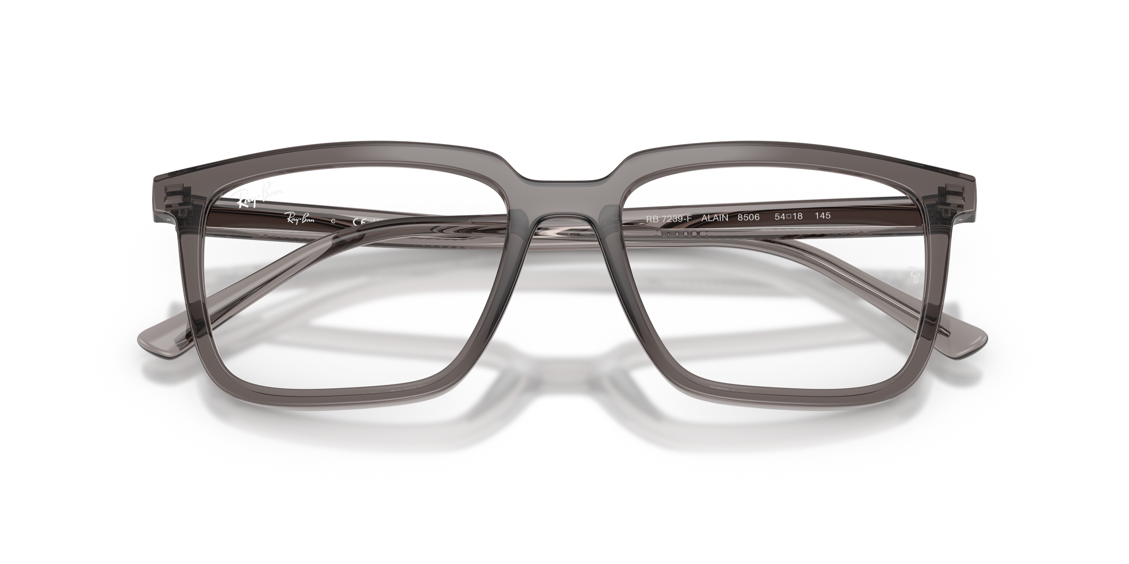Ray-Ban Vista Alain RX7239 8506