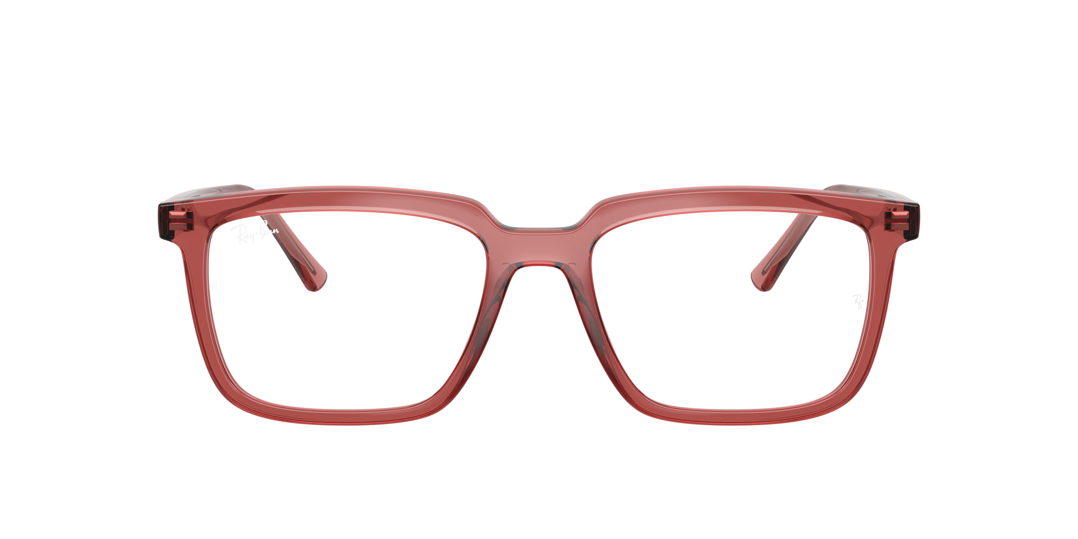 Ray-Ban Vista Alain RX7239 8510