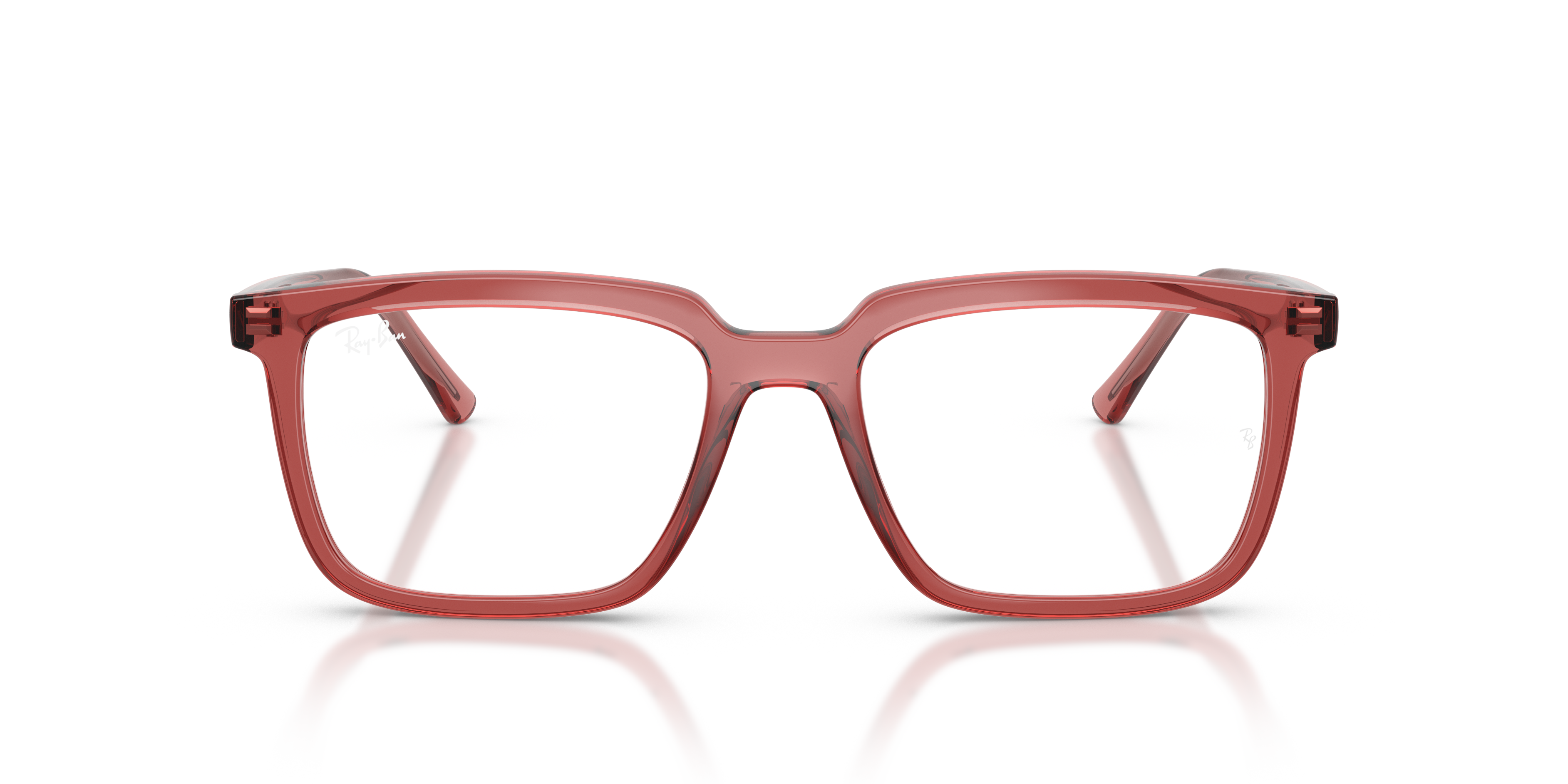 Ray-Ban Vista Alain RX7239 8510