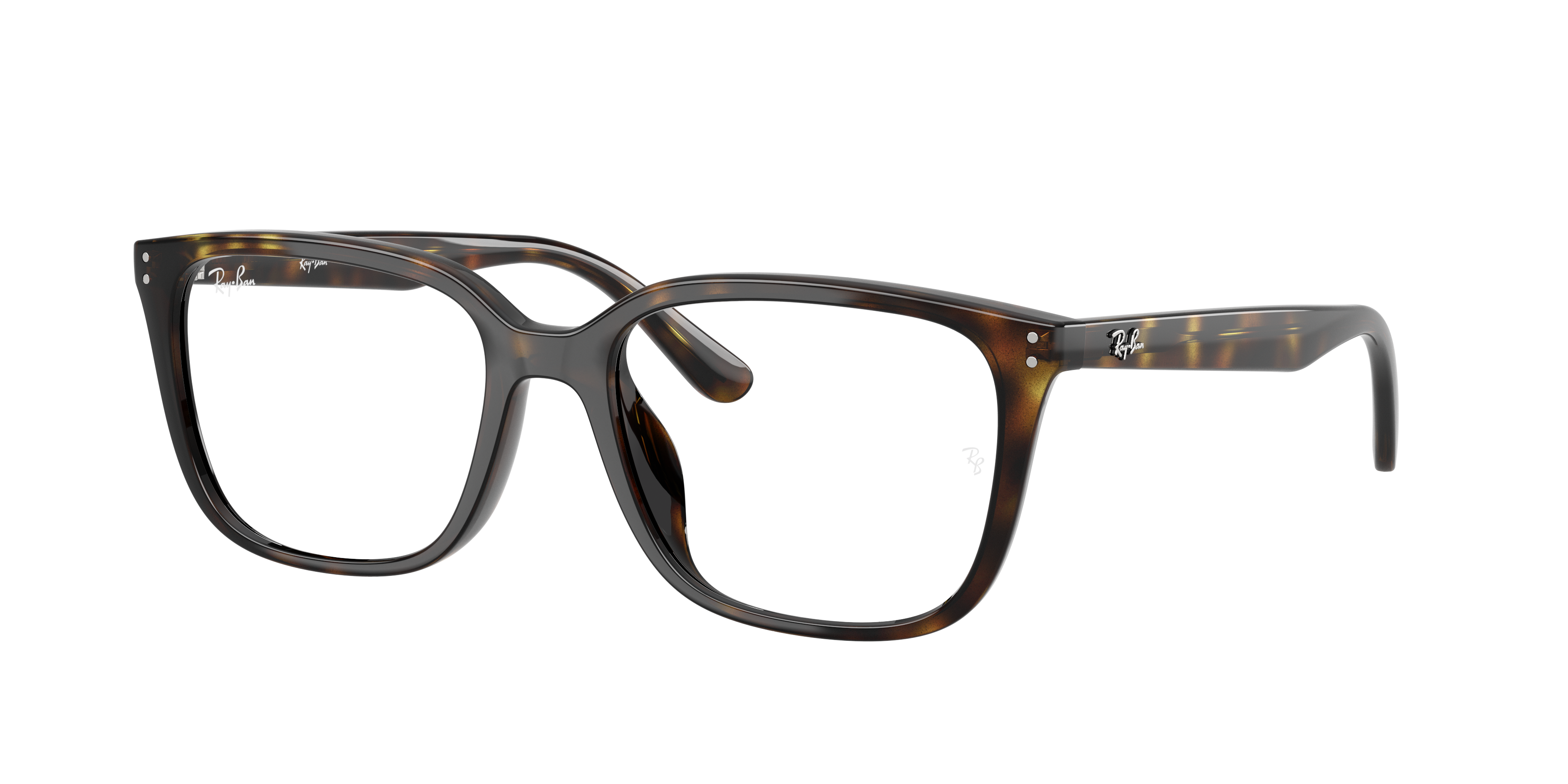 Ray-Ban Vista RX7248D 2012