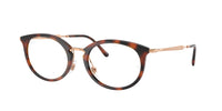 Ray-Ban RX7255 5687