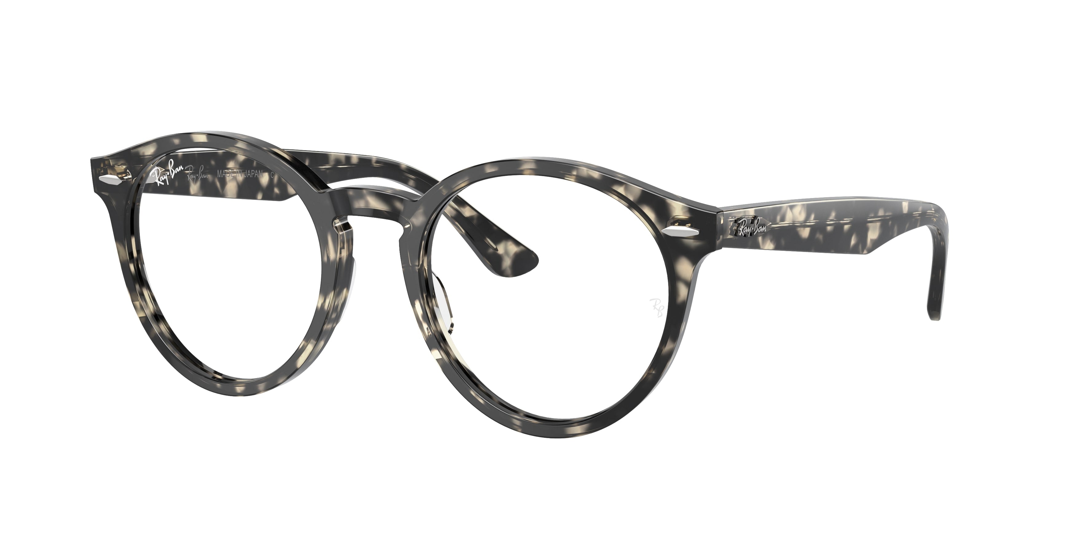 Ray-Ban RX7680V LARRY 8117