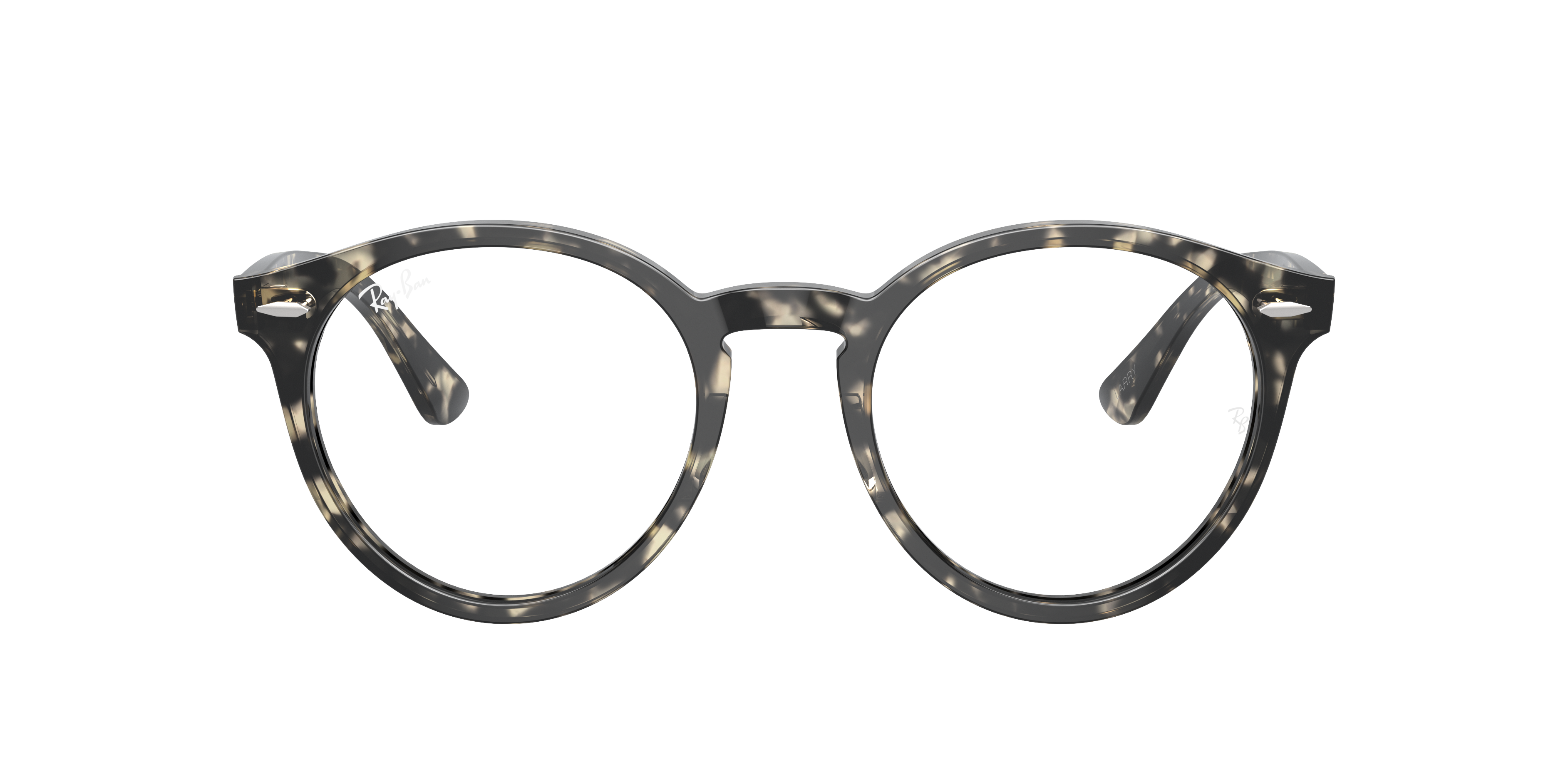Ray-Ban RX7680V LARRY 8117