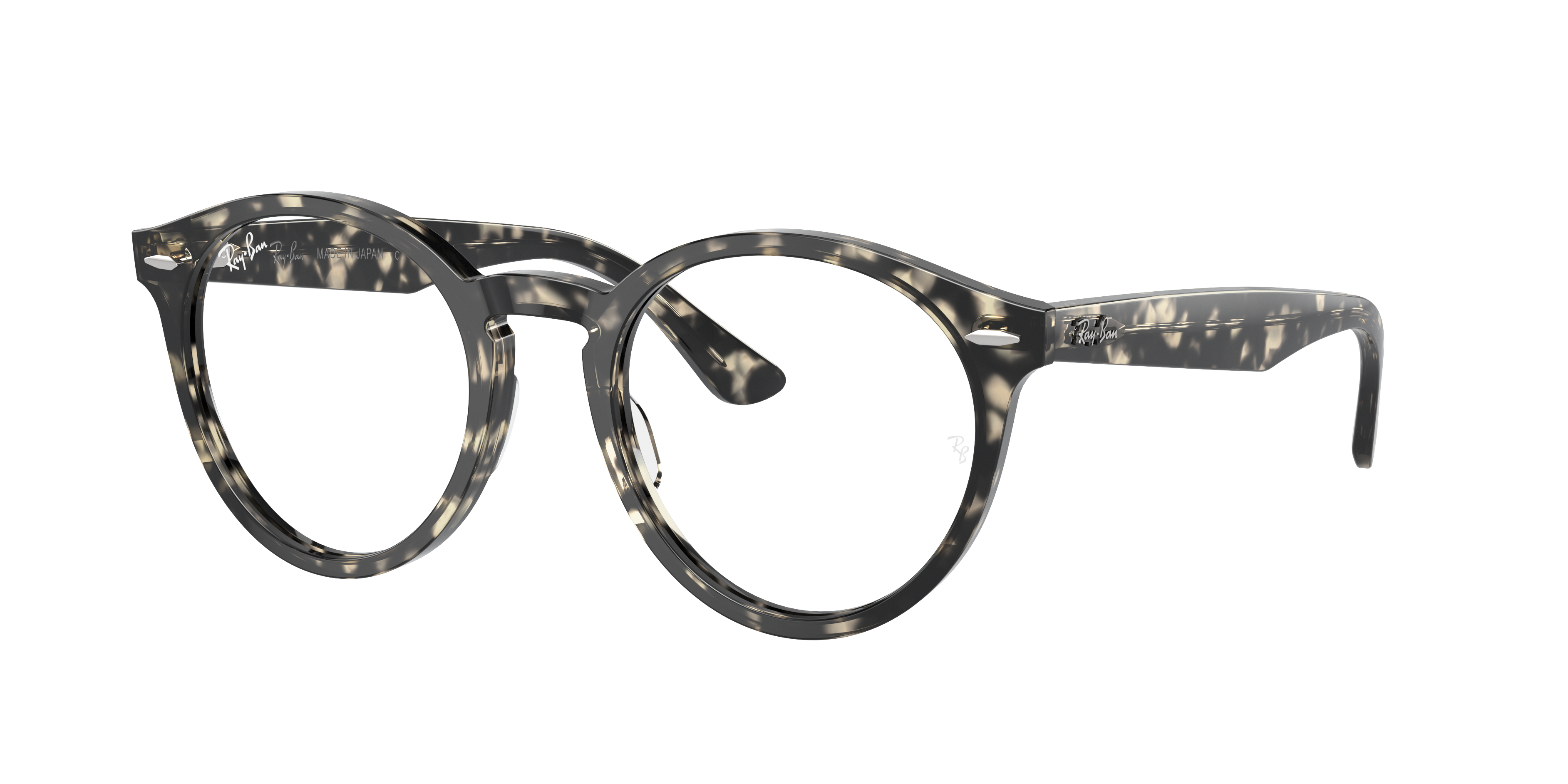 Ray-Ban RX7680V LARRY 8117