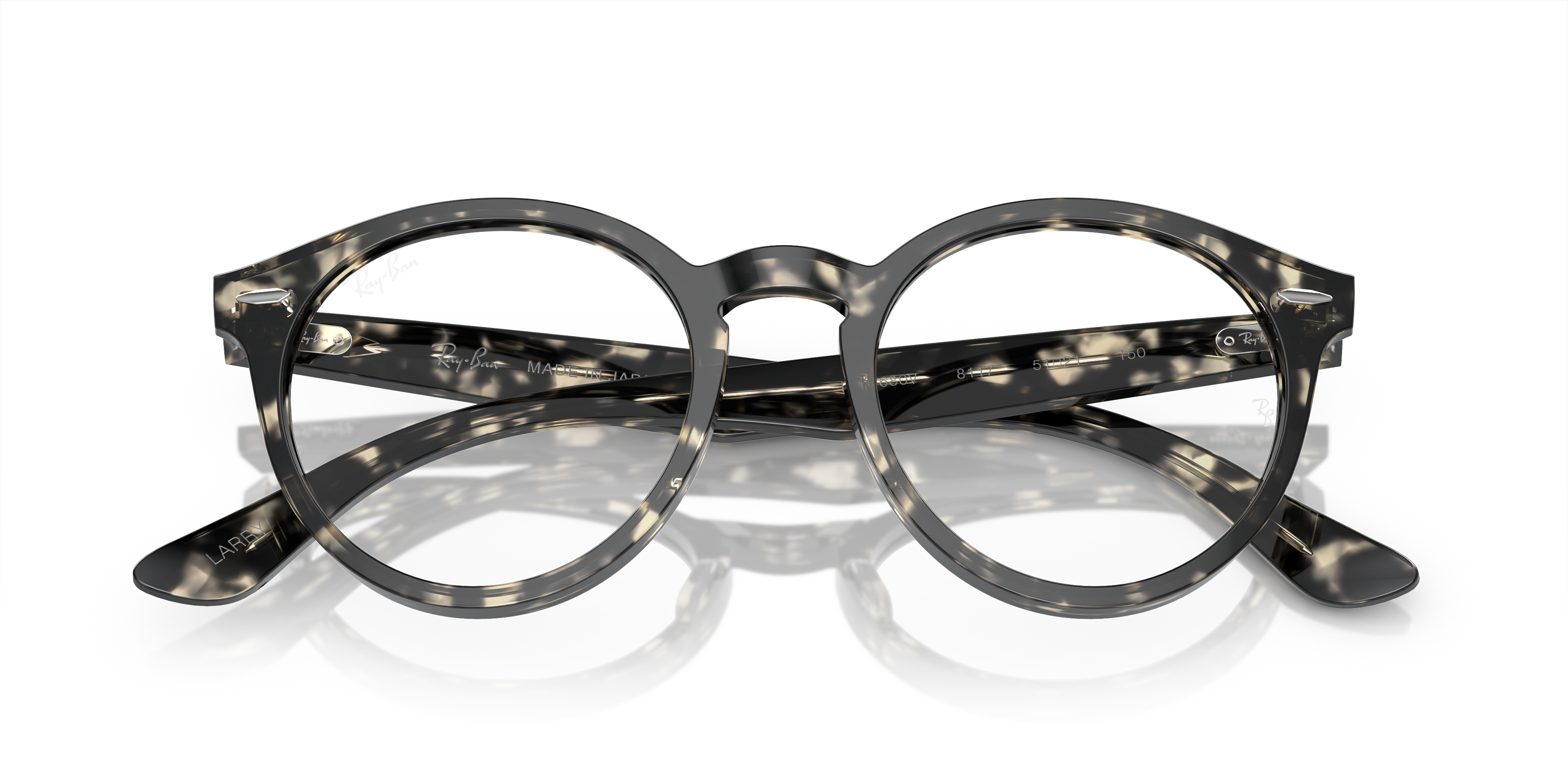 Ray-Ban RX7680V LARRY 8117